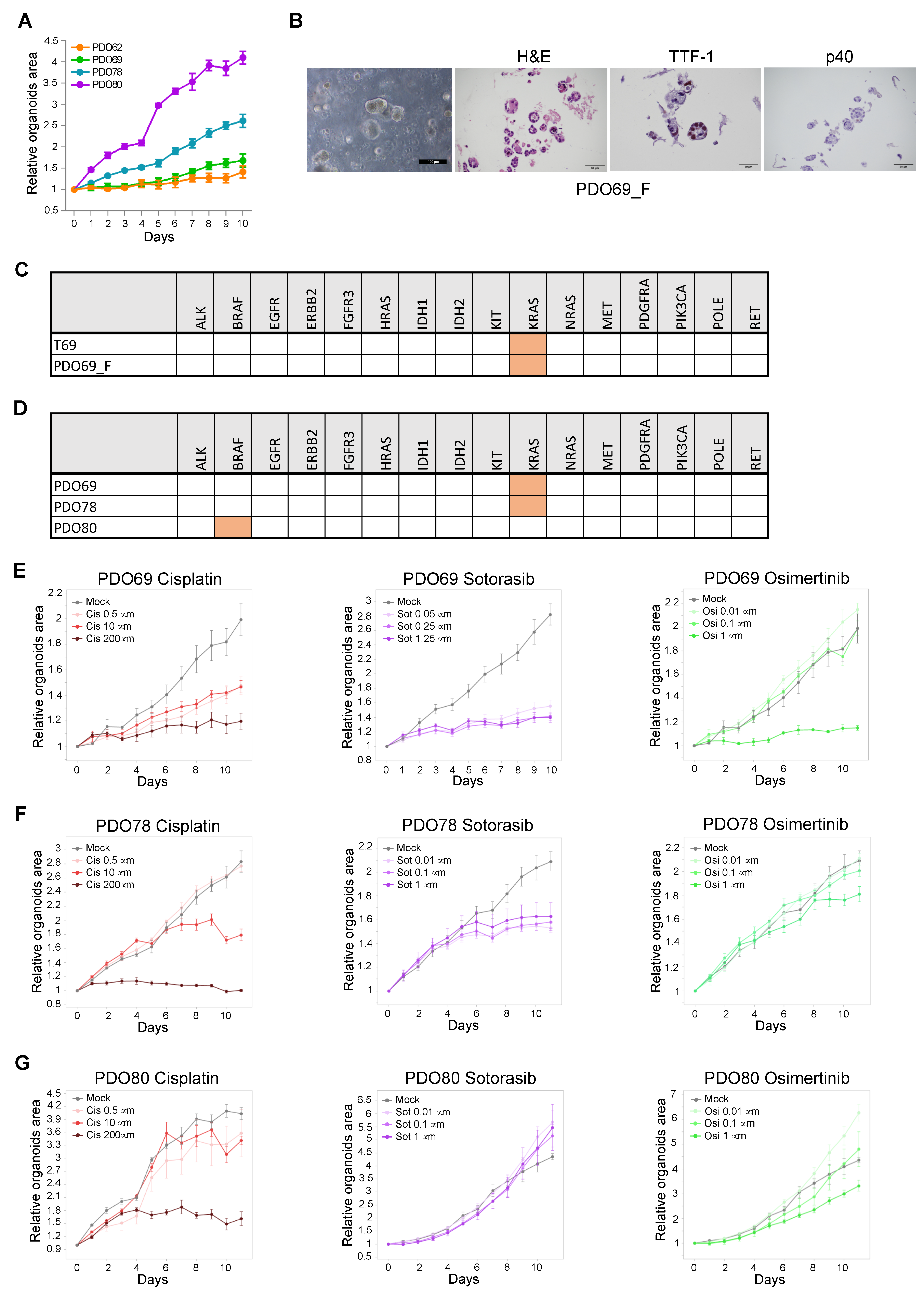Cancers 17 00027 g007