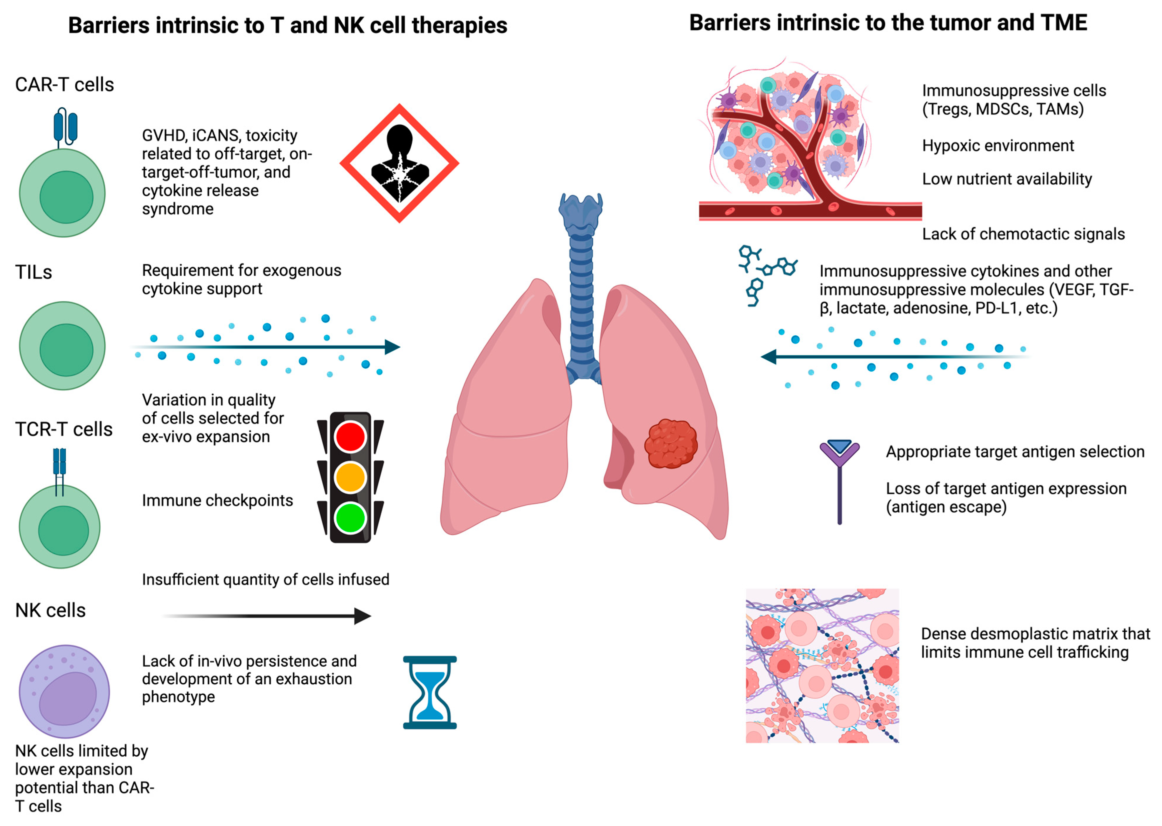 Cancers 17 00035 g001