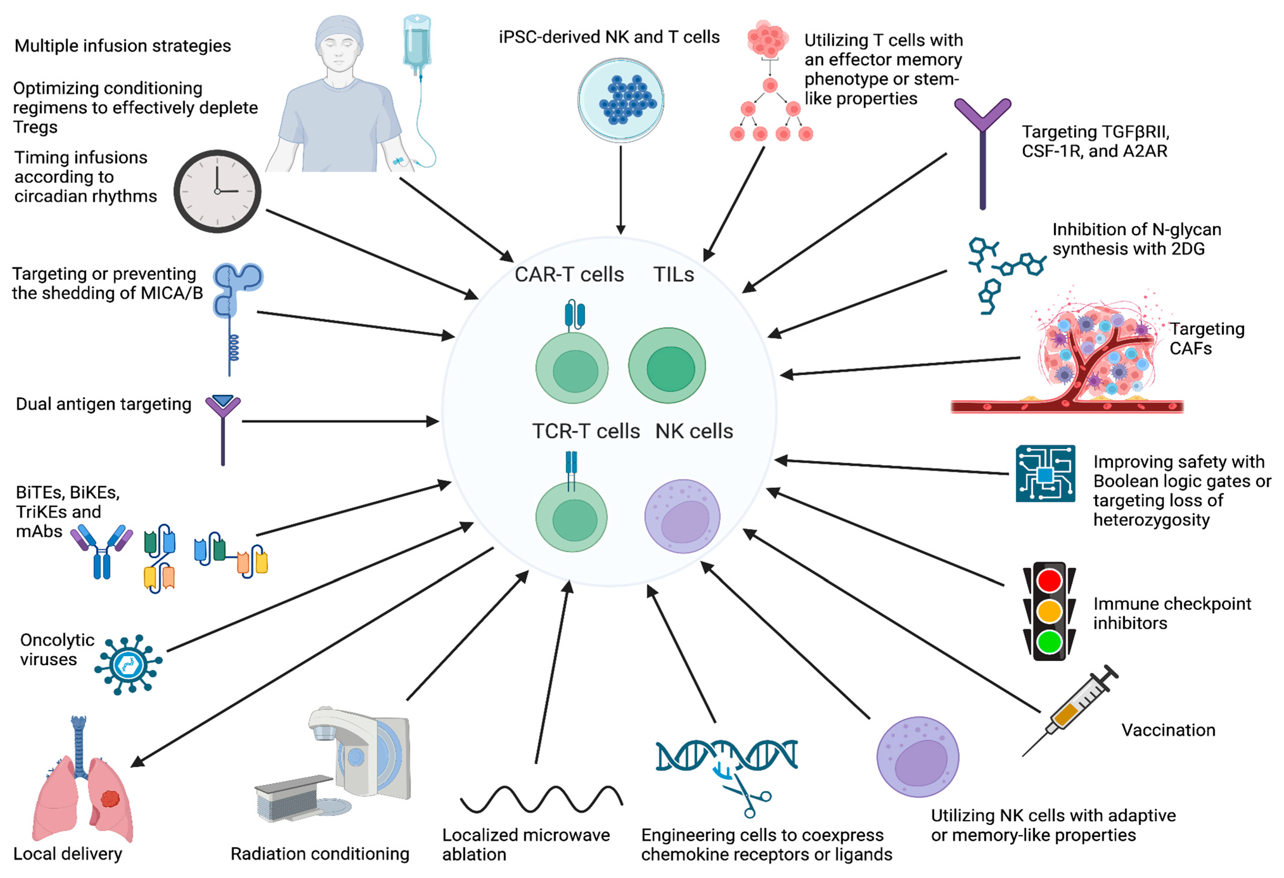 Cancers 17 00035 g002
