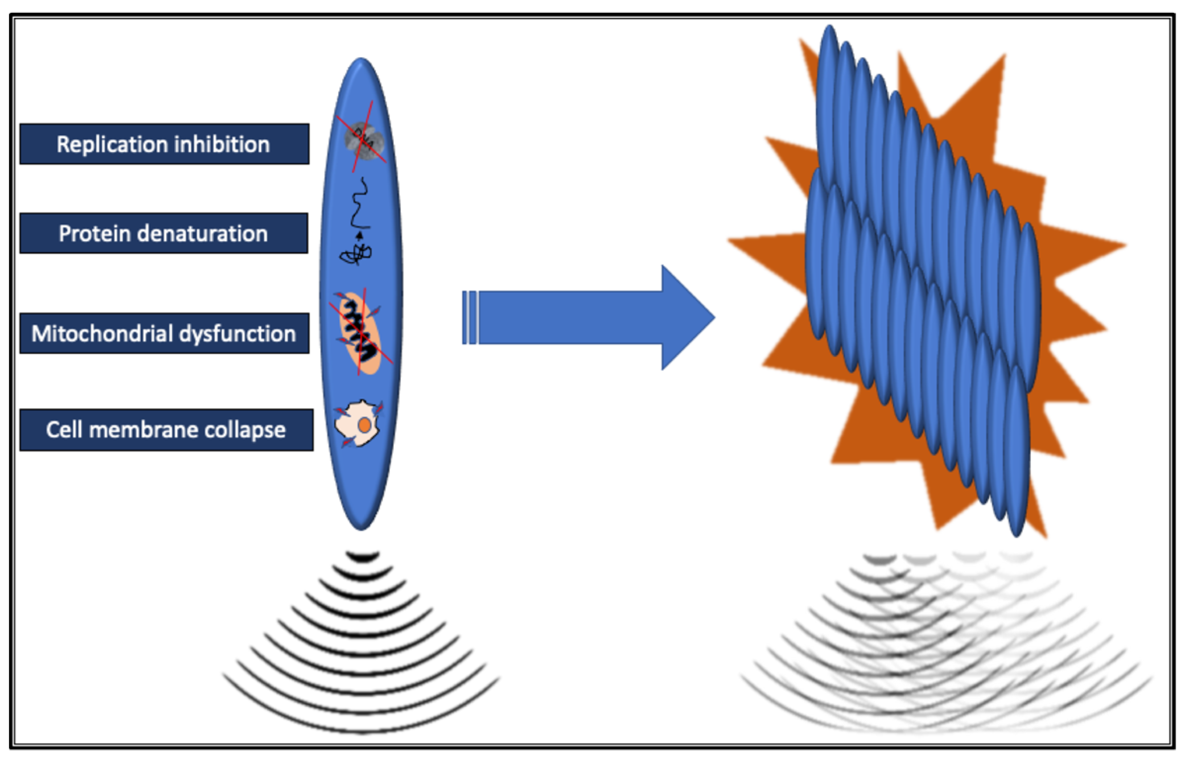 Cancers 17 00036 g002