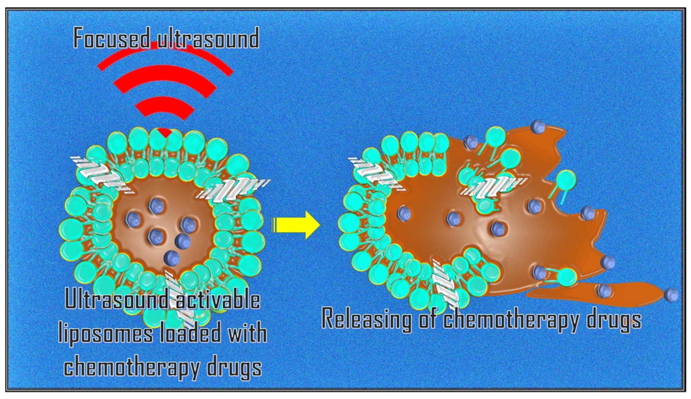 Cancers 17 00036 g003
