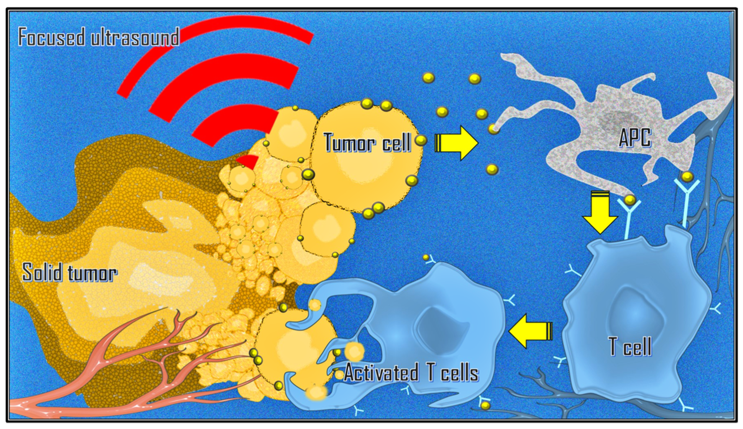 Cancers 17 00036 g004