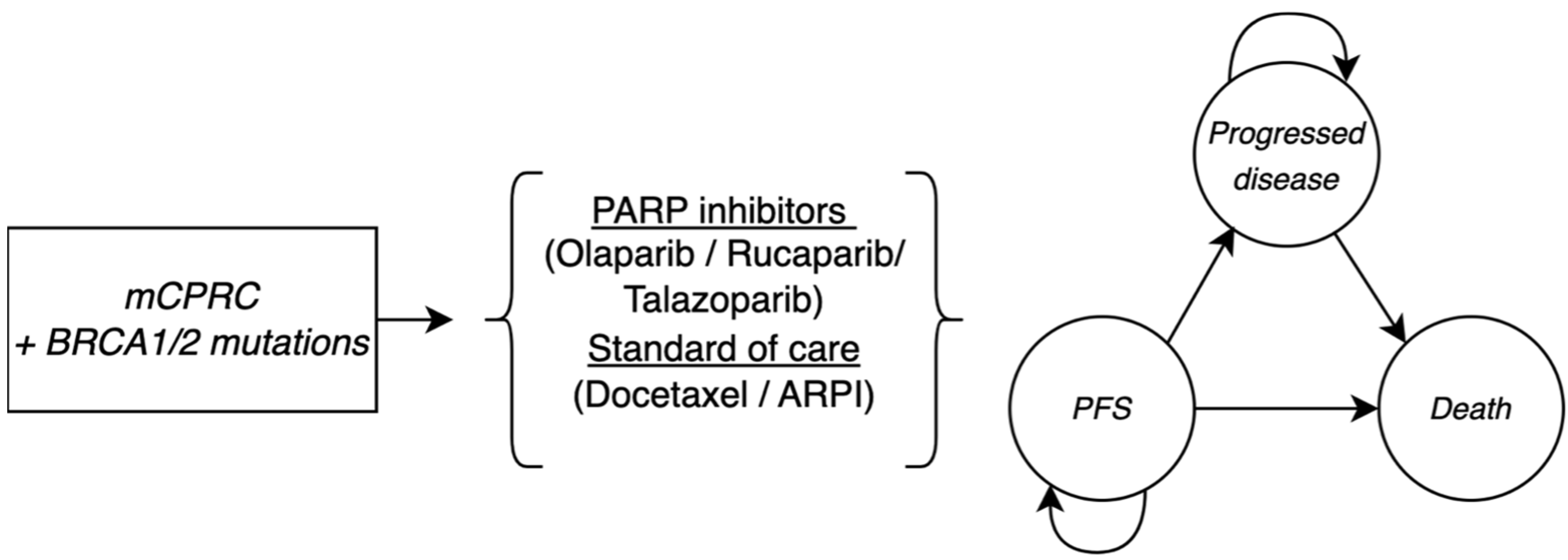 Cancers 17 00040 g001