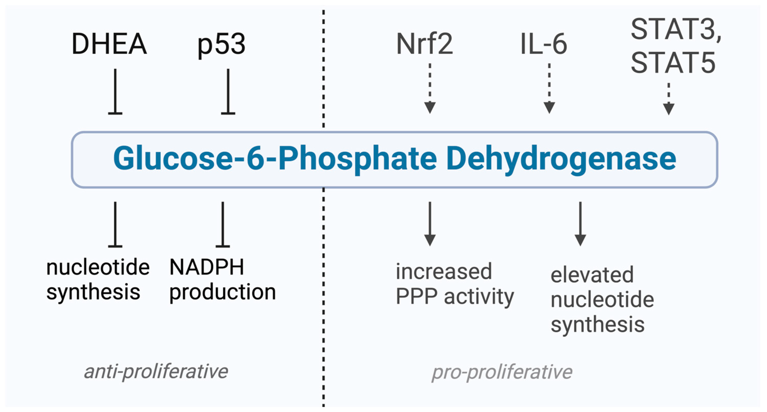Cancers 17 00048 g002