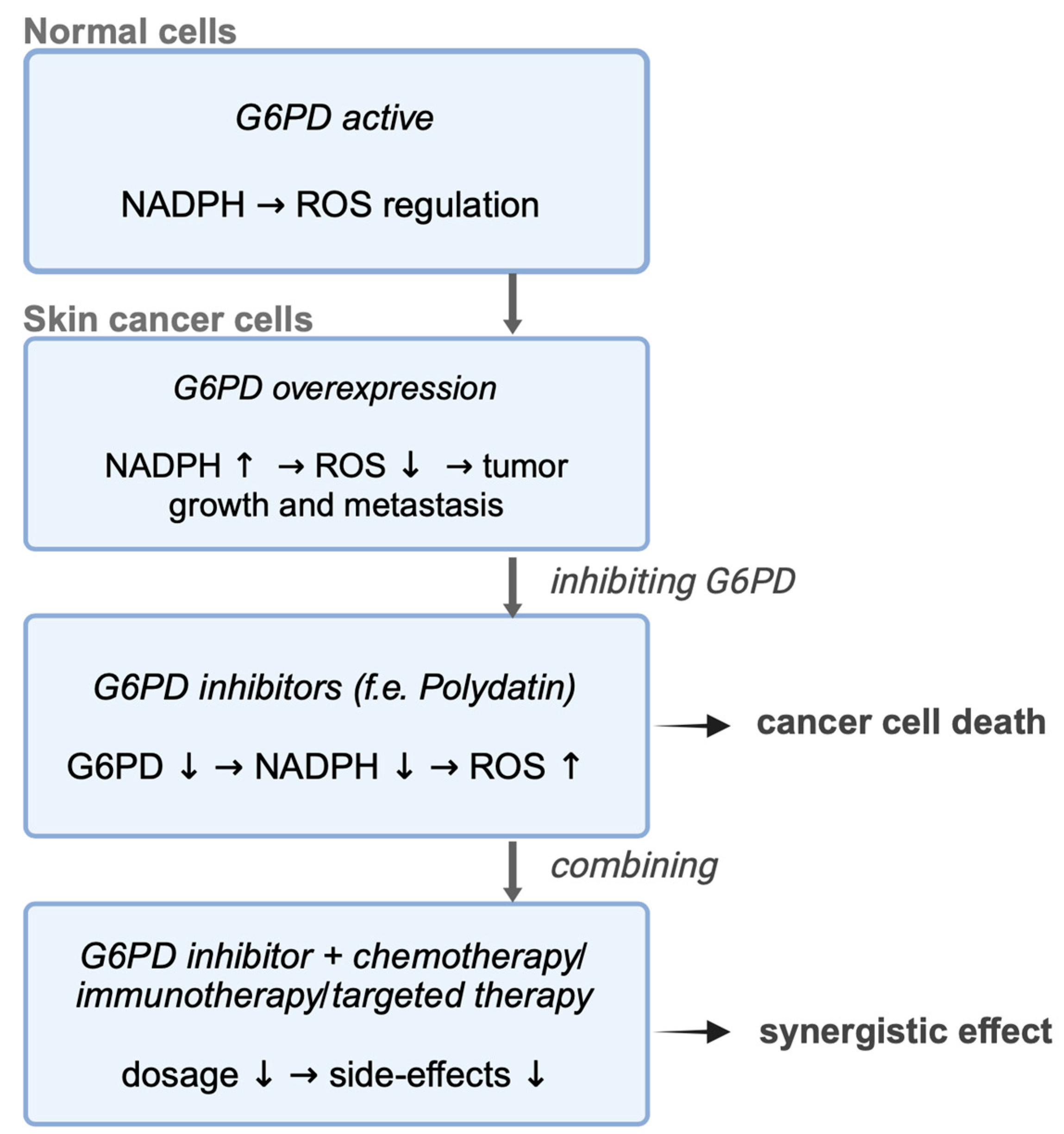 Cancers 17 00048 g003