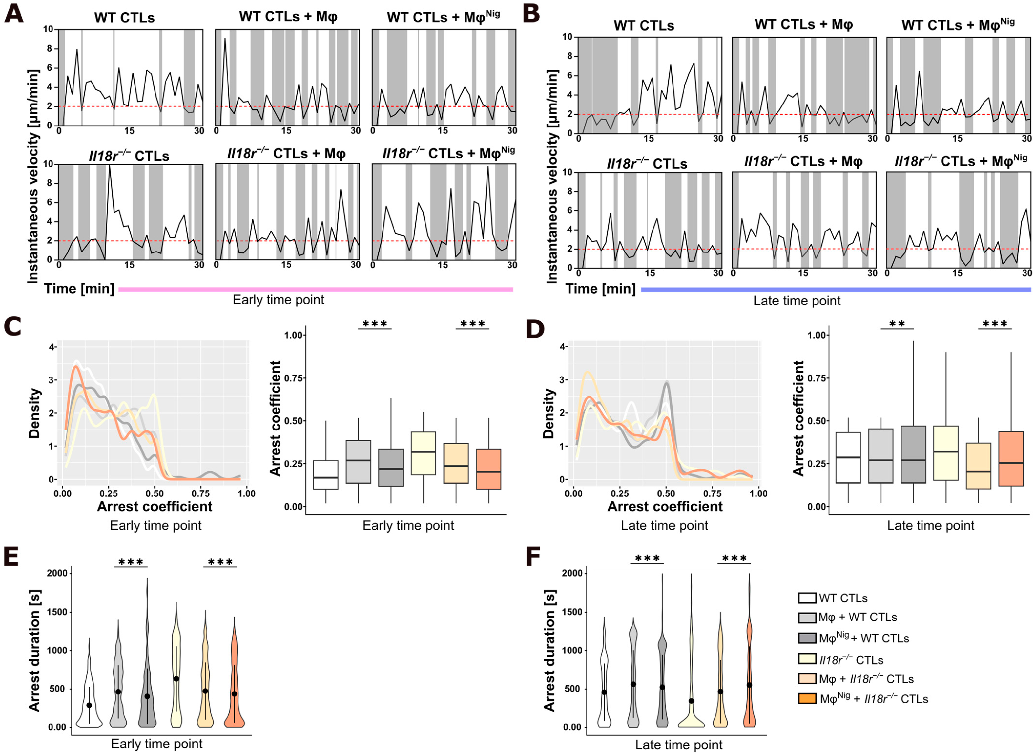 Cancers 17 00051 g003