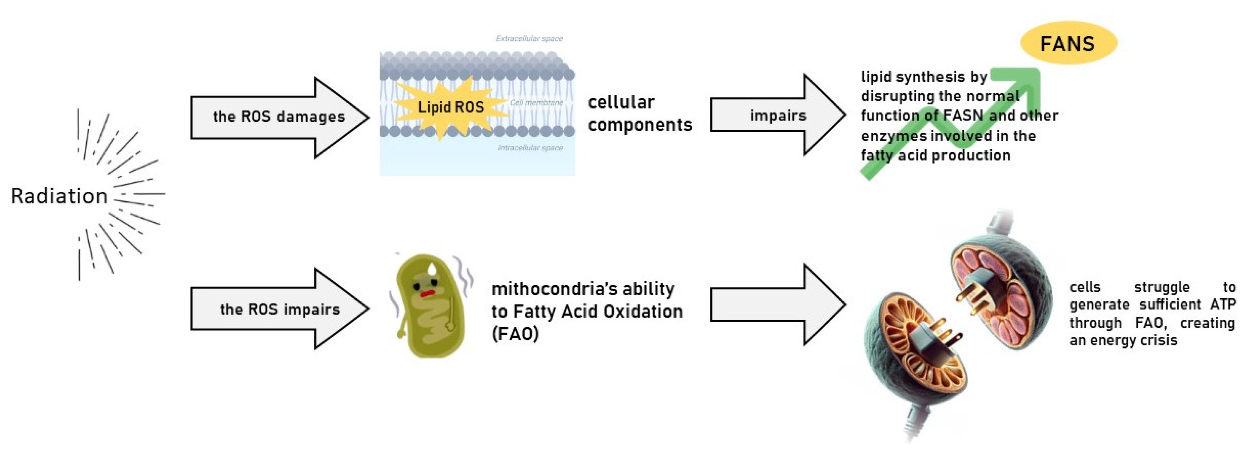 Cancers 17 00054 g002