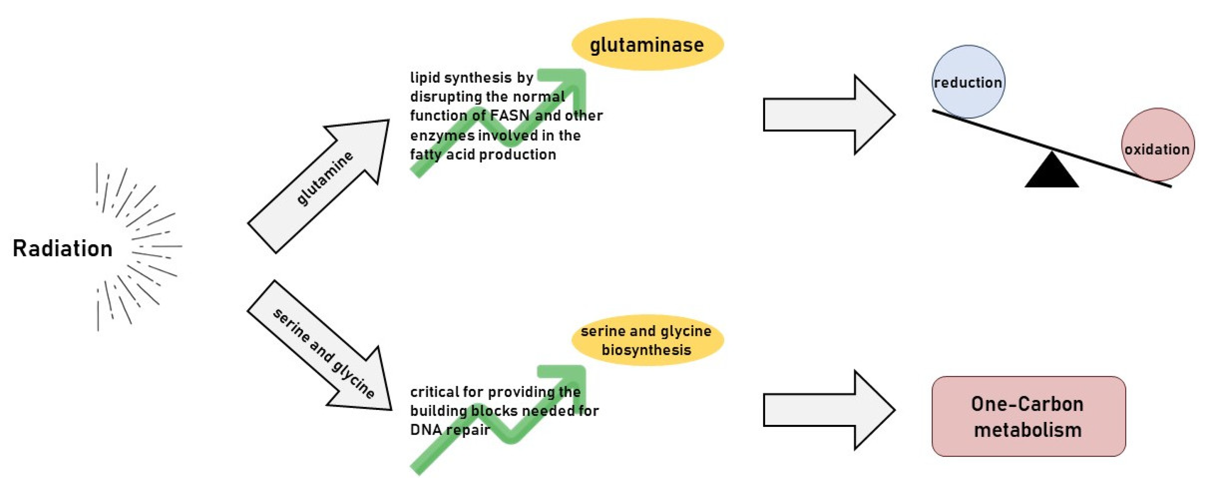 Cancers 17 00054 g003