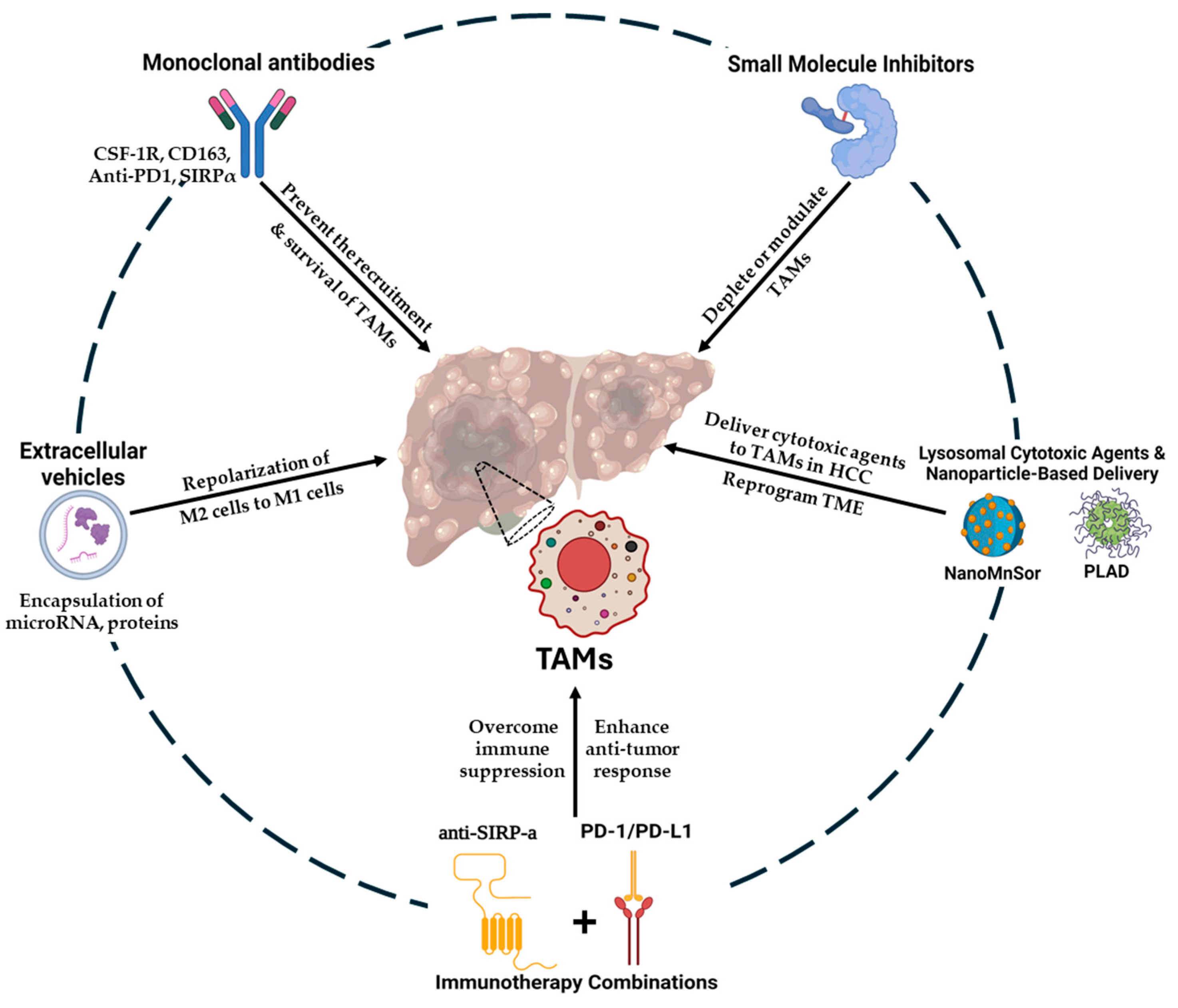 Cancers 17 00066 g002 Cancers 17 00066 g002