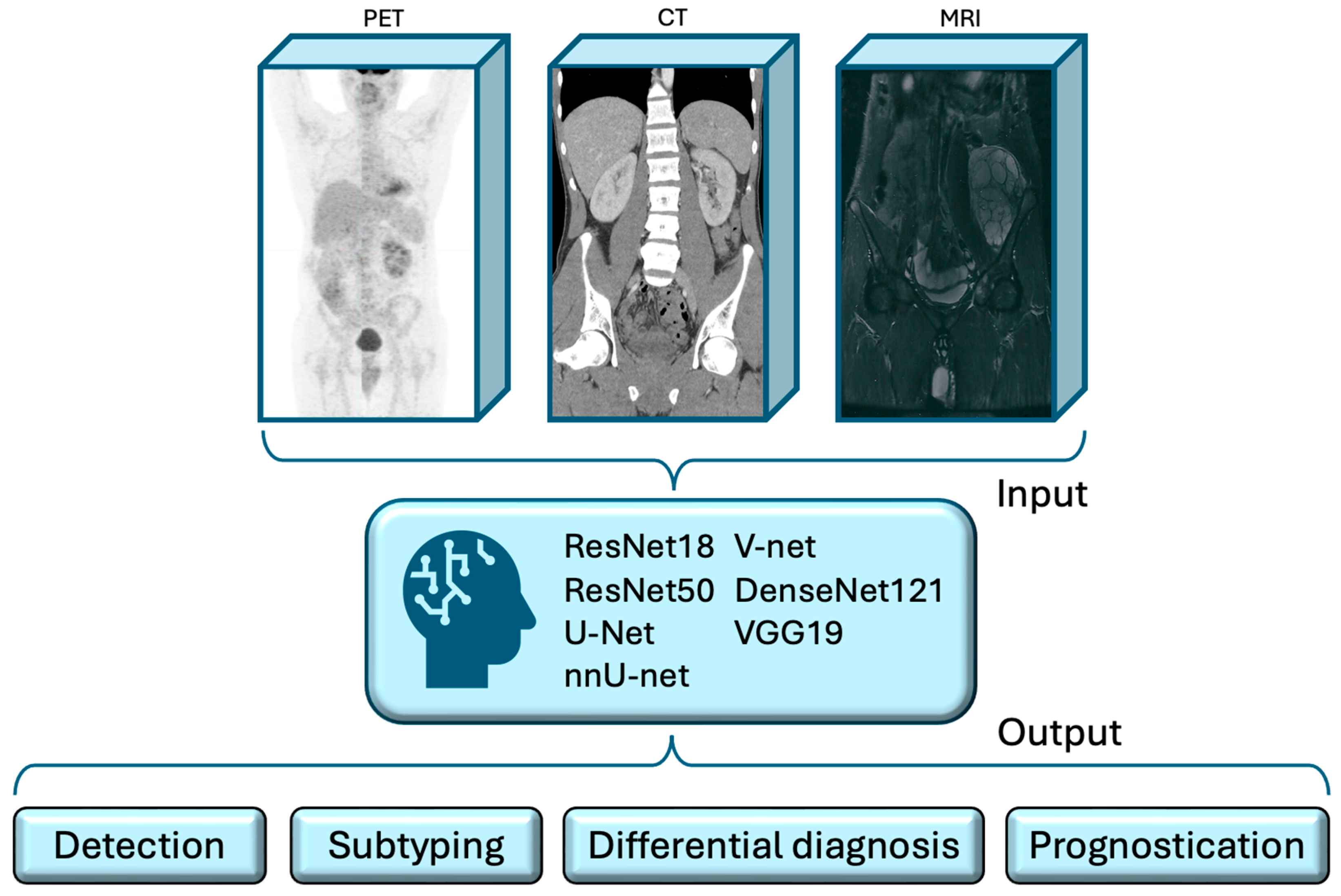 Cancers 17 00069 g002