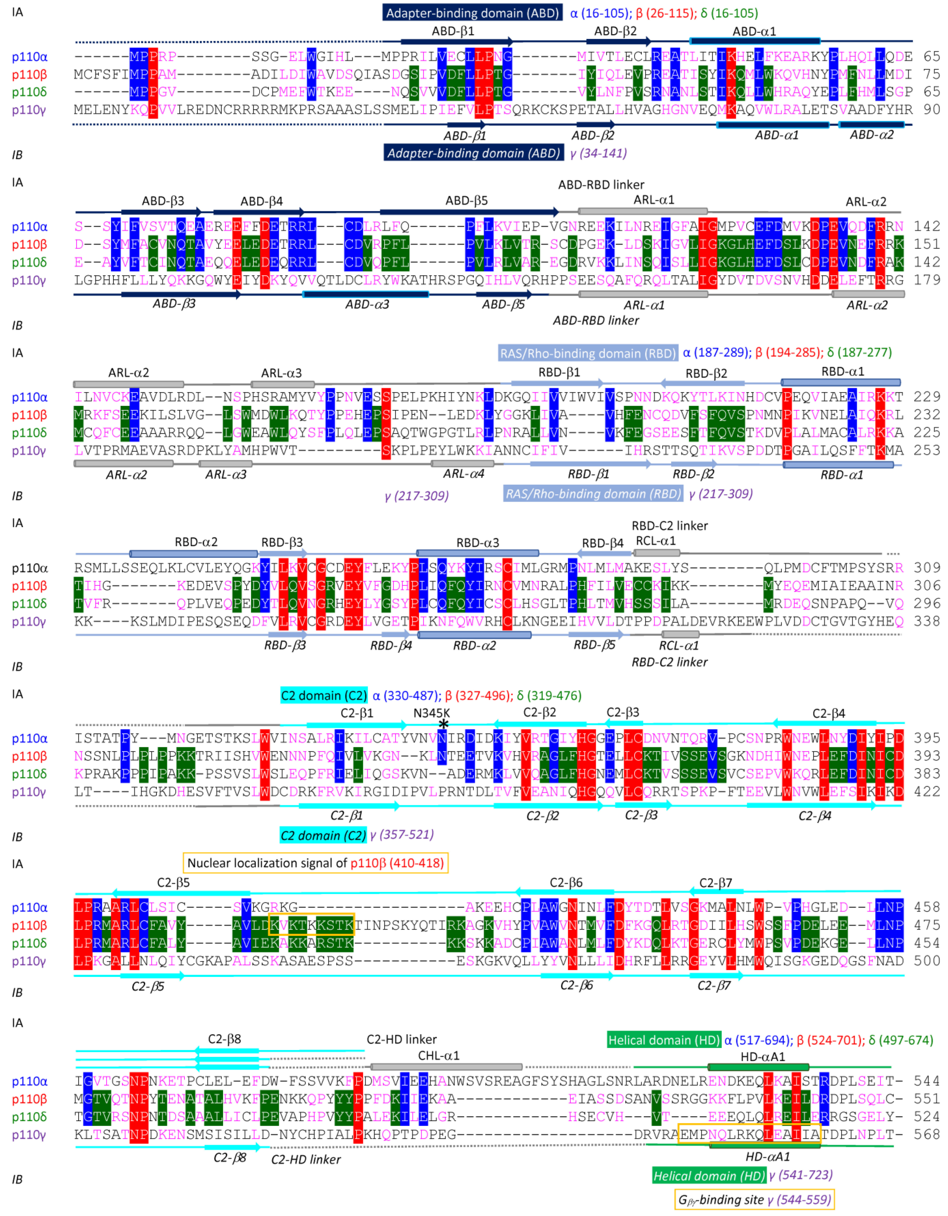 Cancers 17 00077 g002a