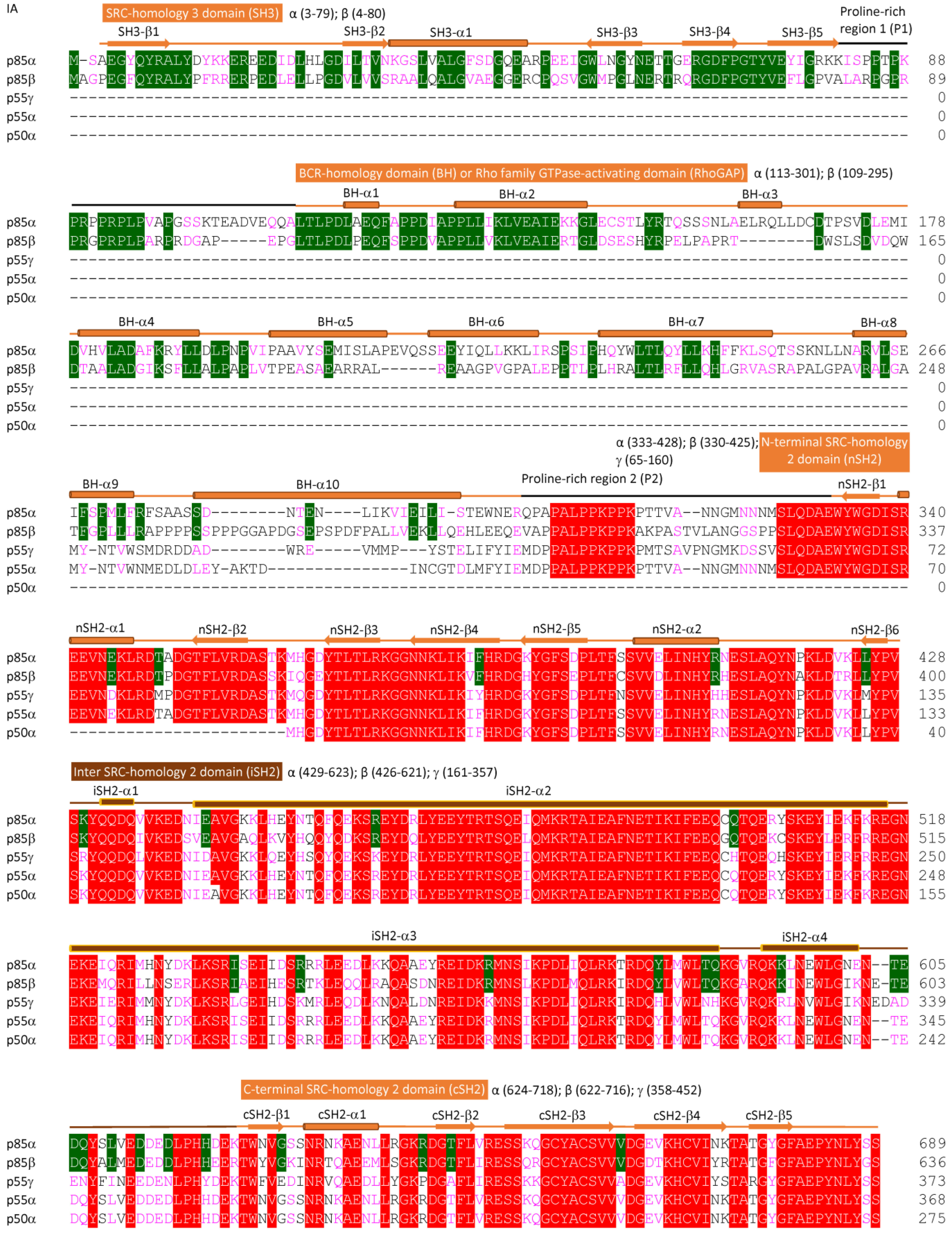 Cancers 17 00077 g003a