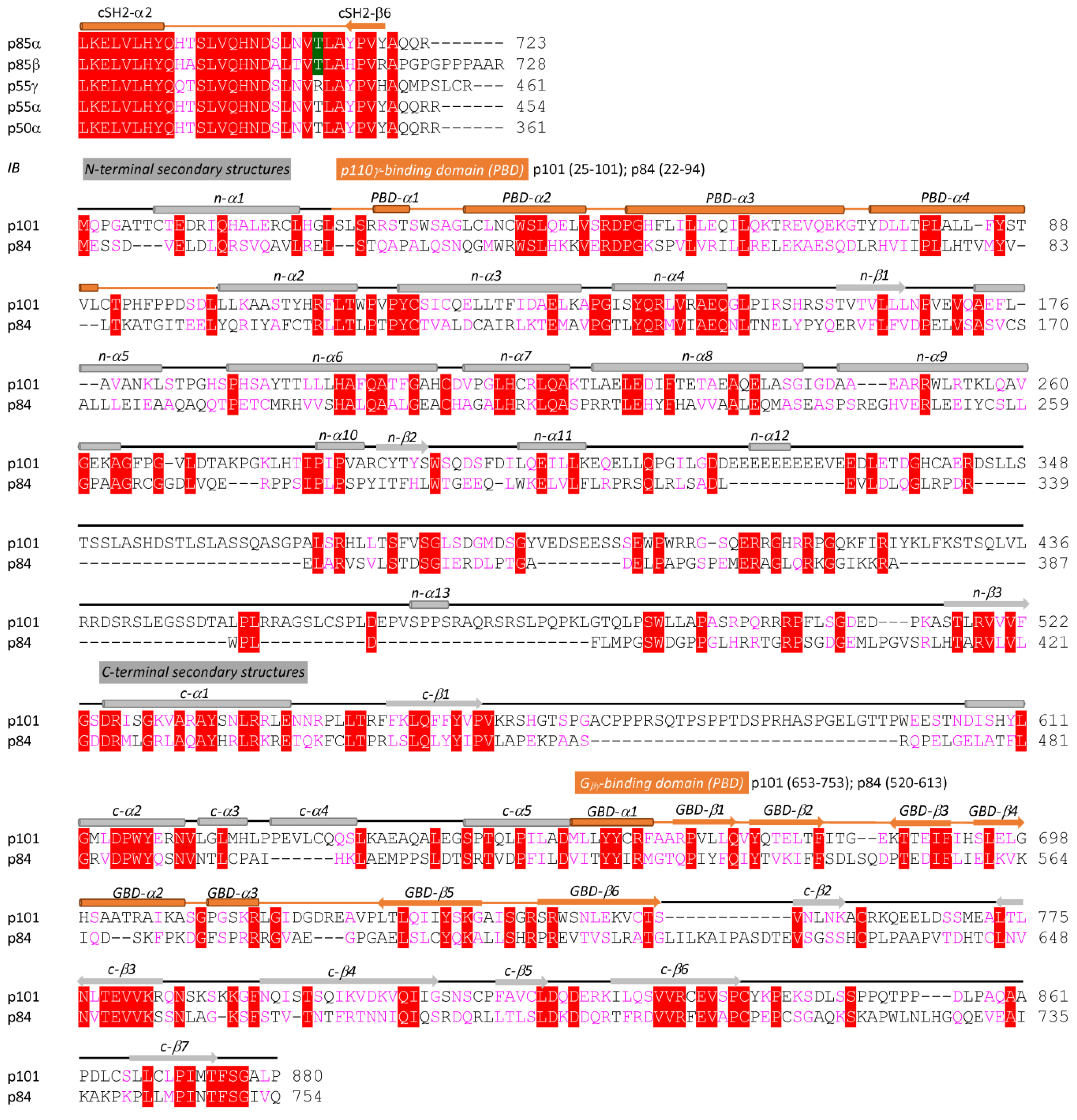 Cancers 17 00077 g003b