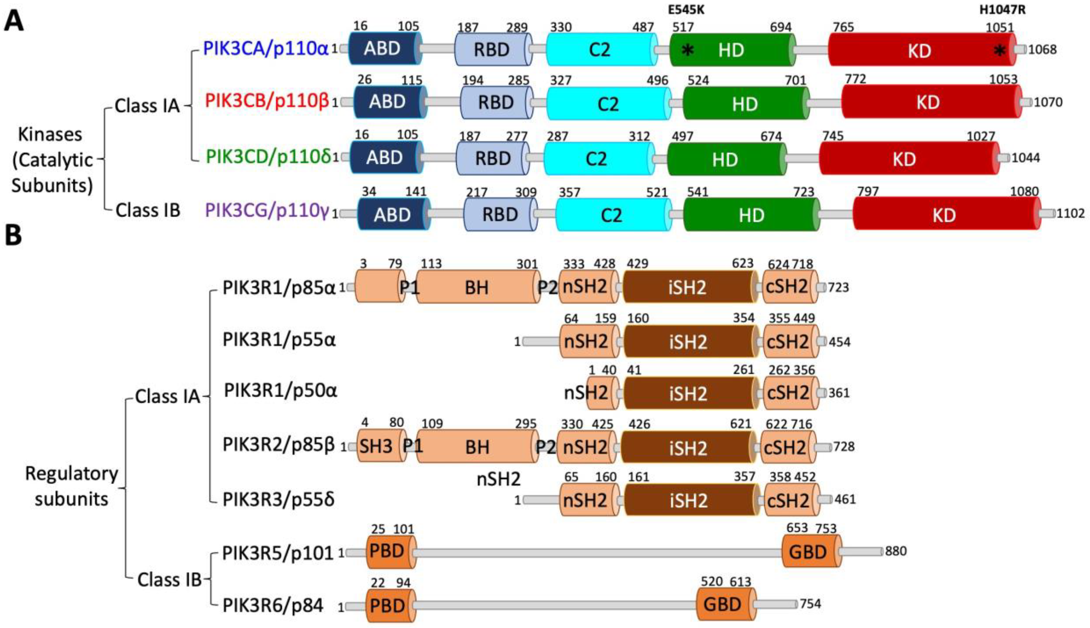 Cancers 17 00077 g004