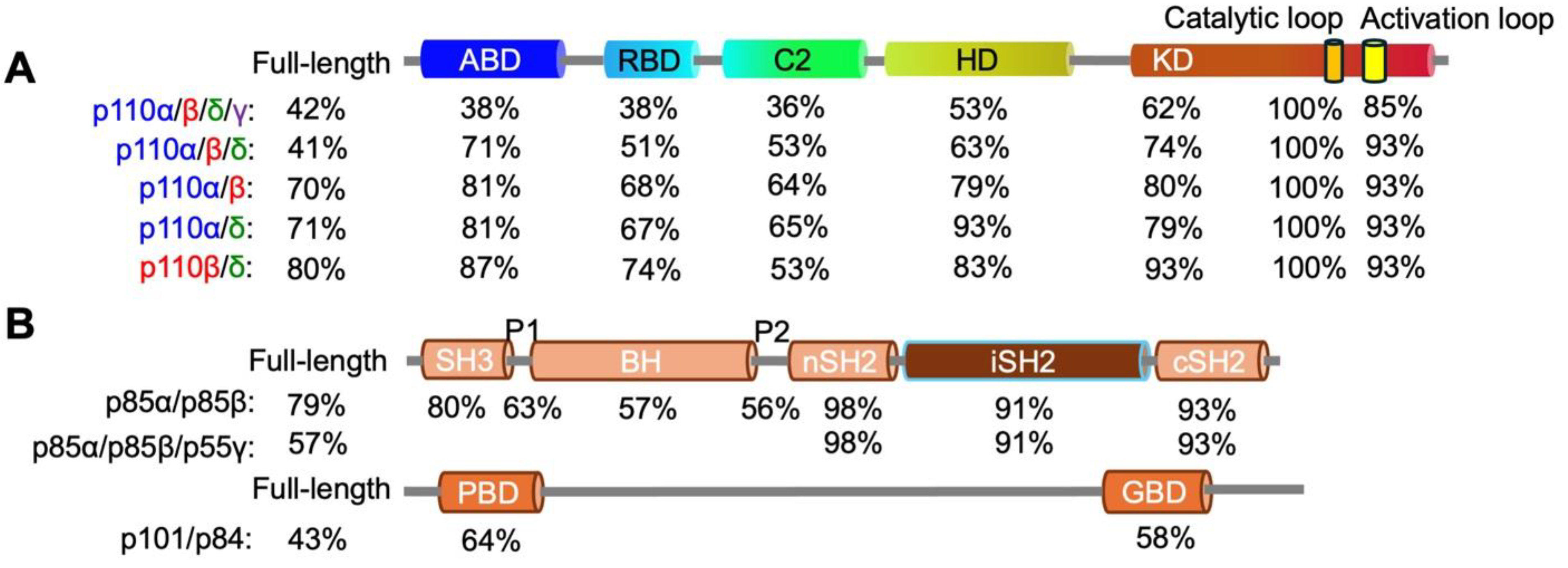 Cancers 17 00077 g005
