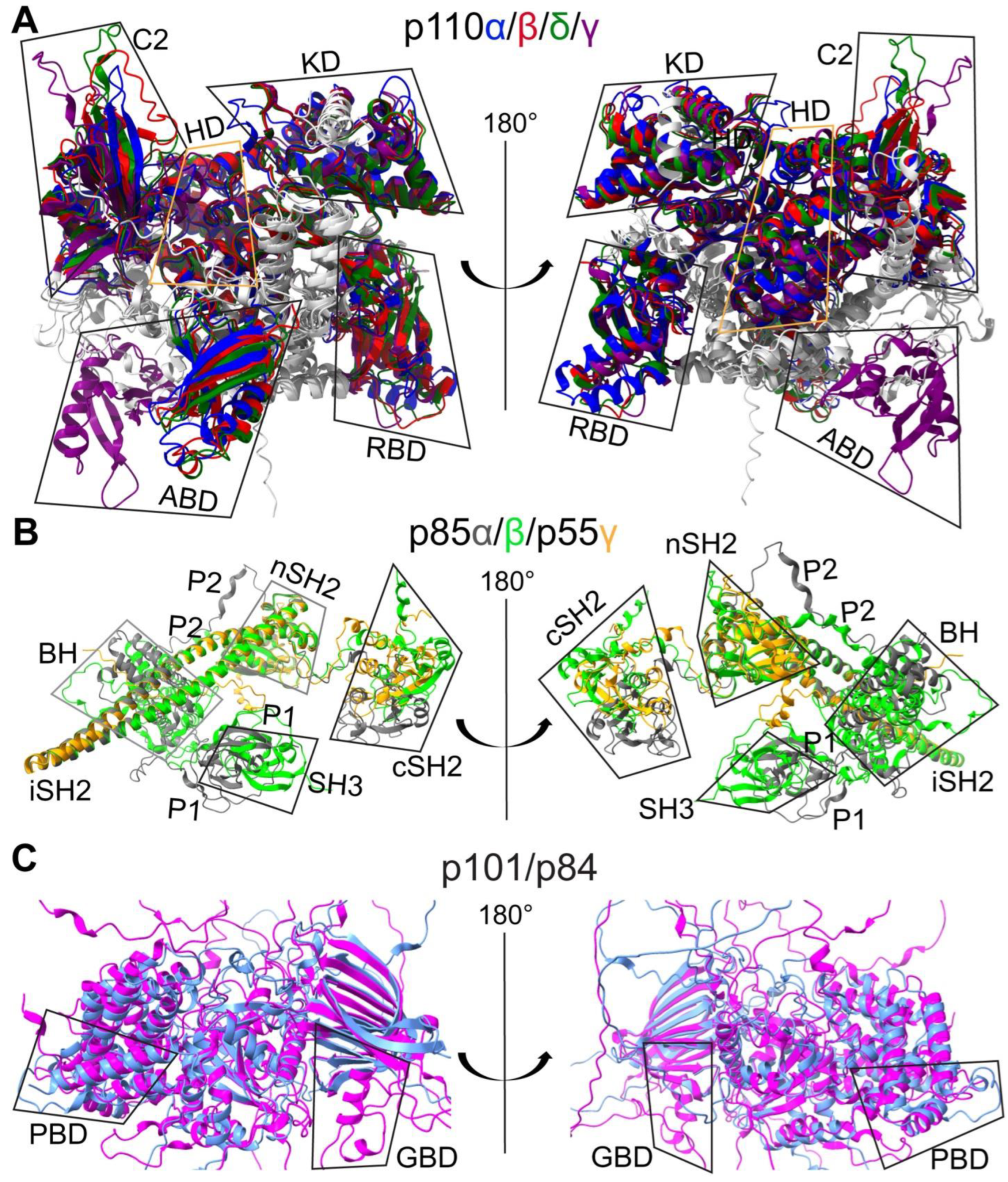 Cancers 17 00077 g006