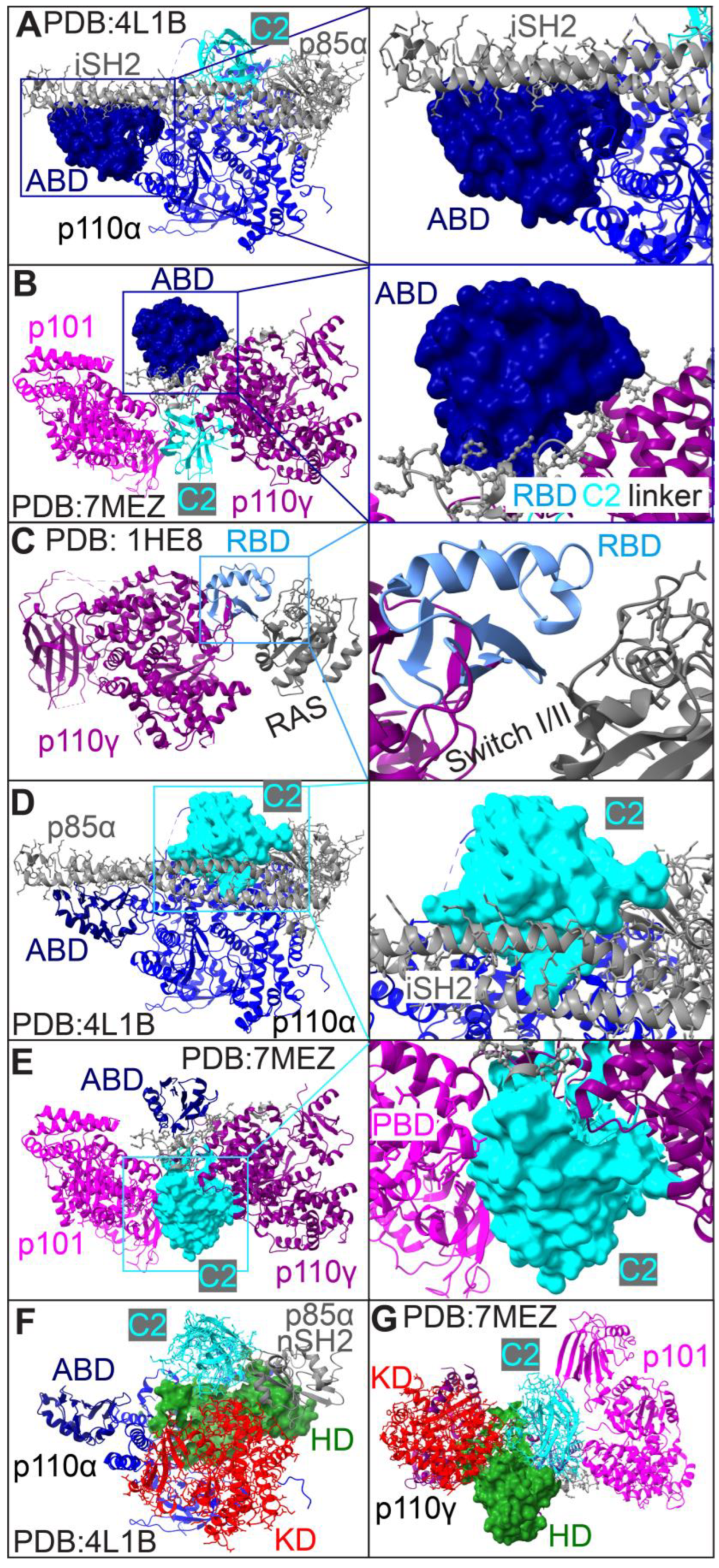 Cancers 17 00077 g008