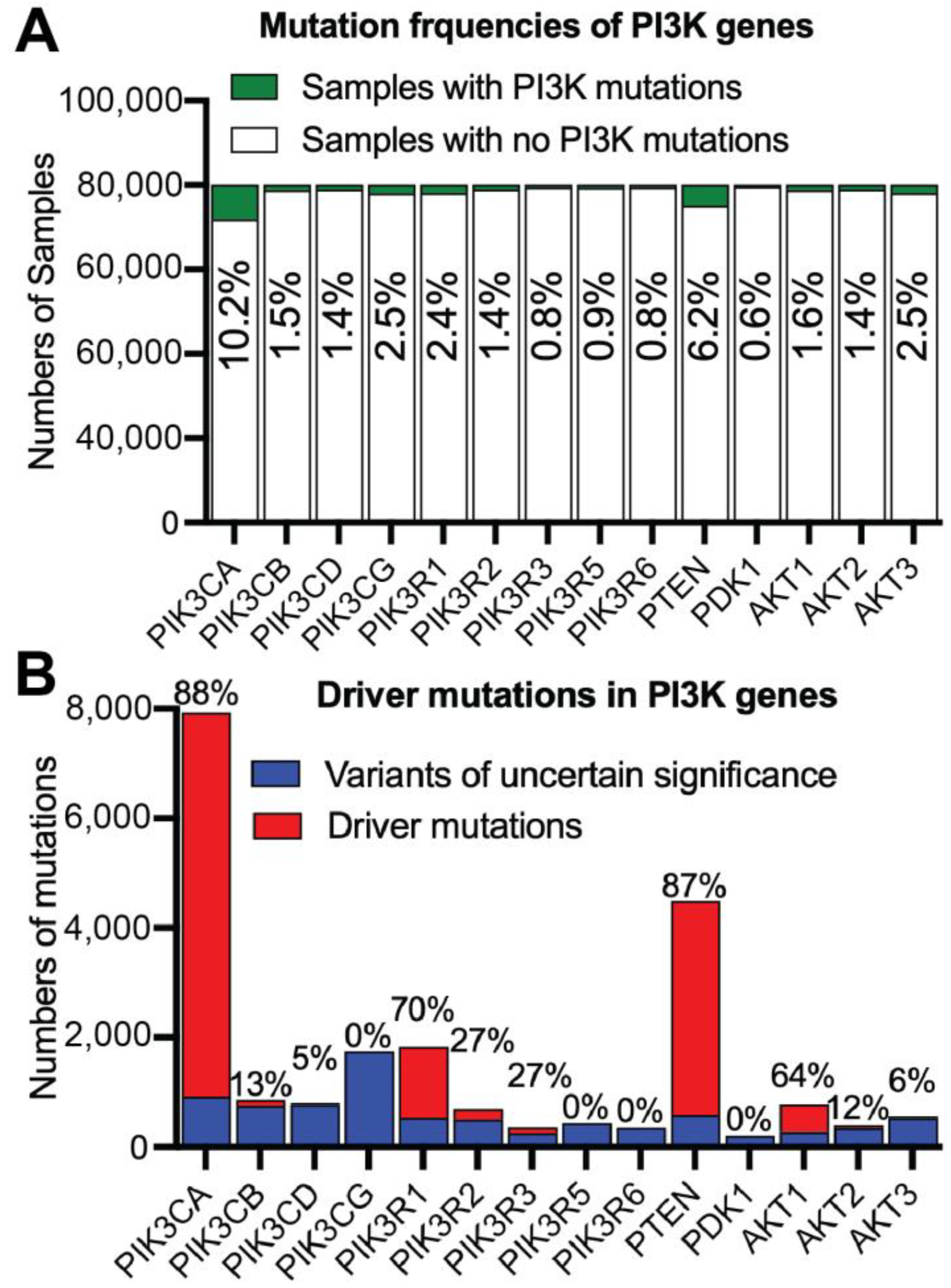 Cancers 17 00077 g009