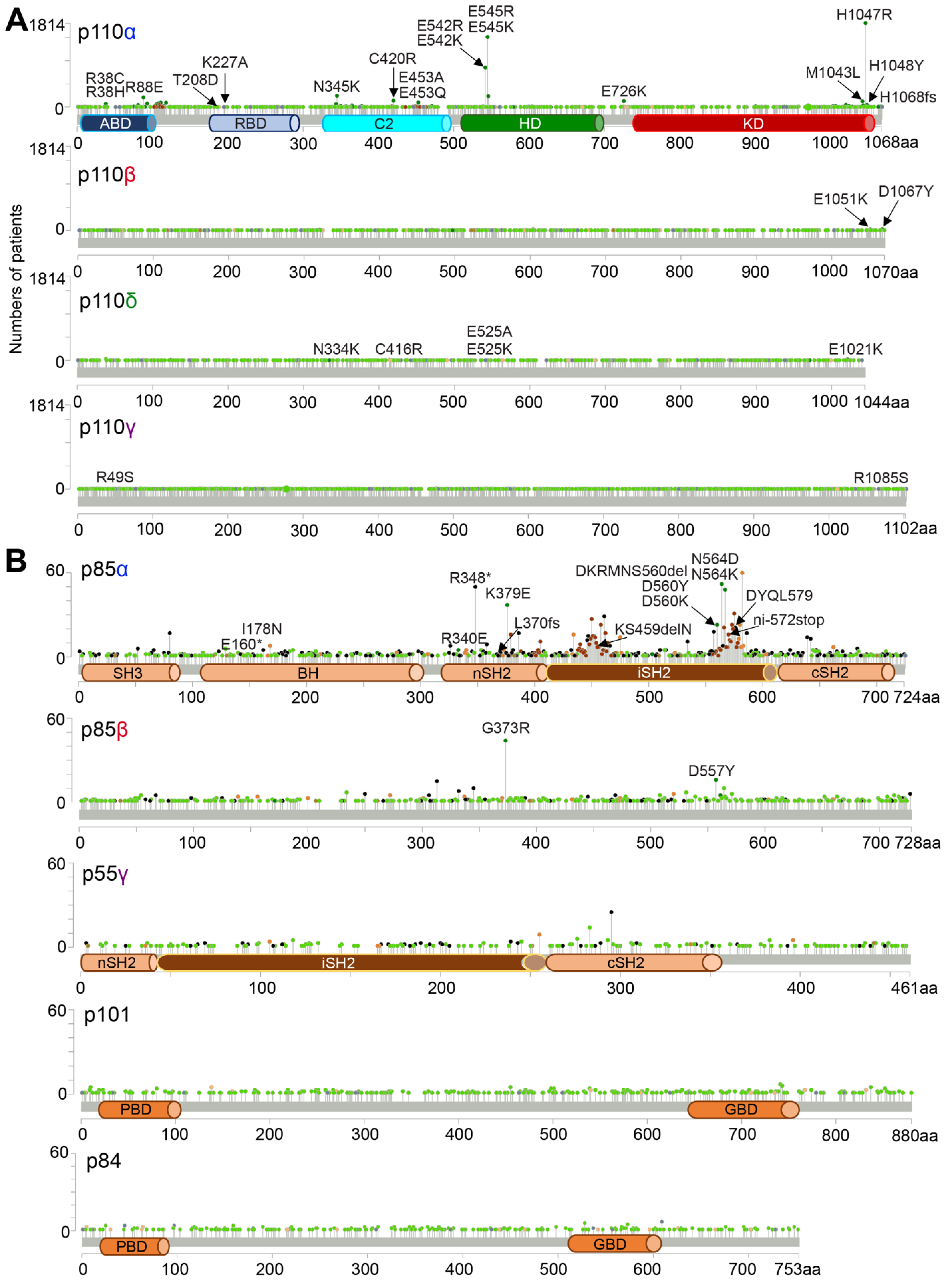 Cancers 17 00077 g010