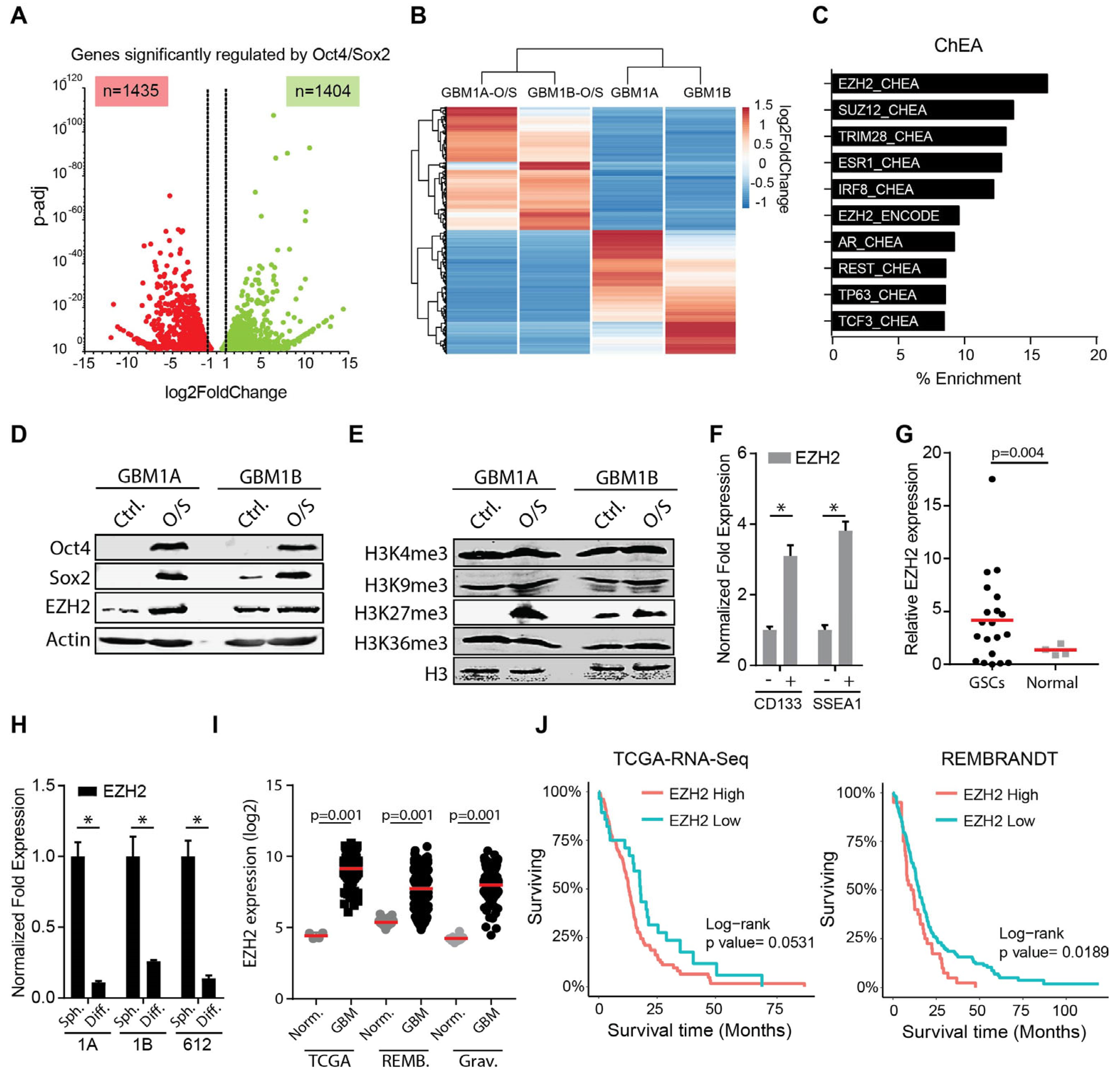 Cancers 17 00080 g001