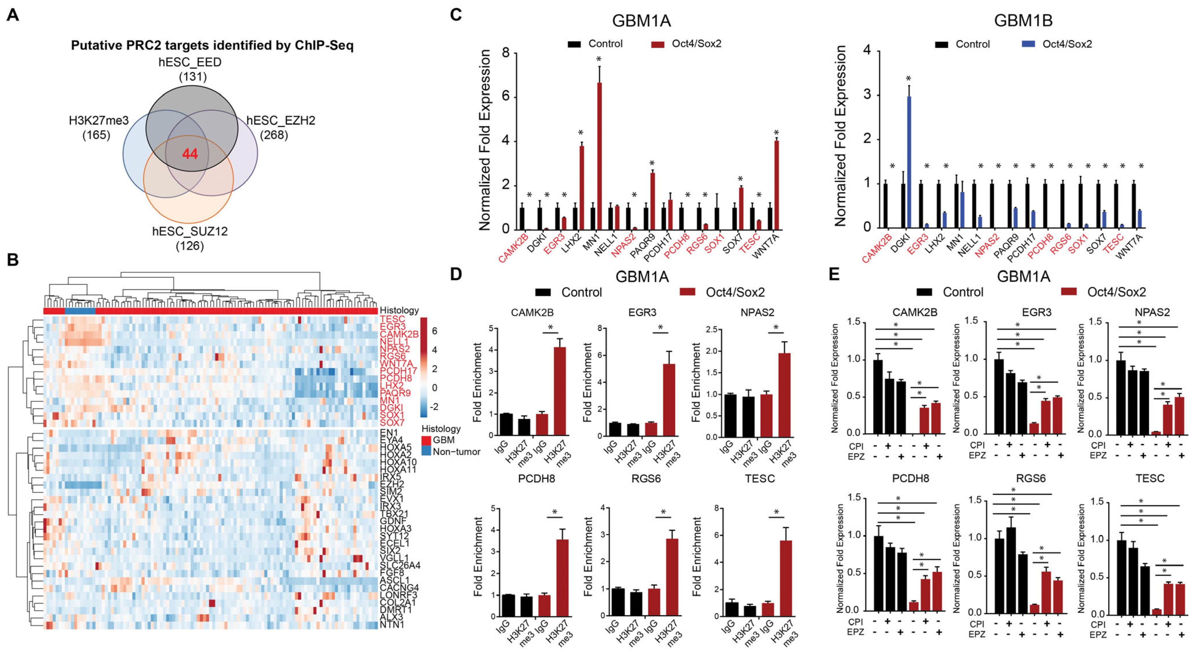Cancers 17 00080 g002