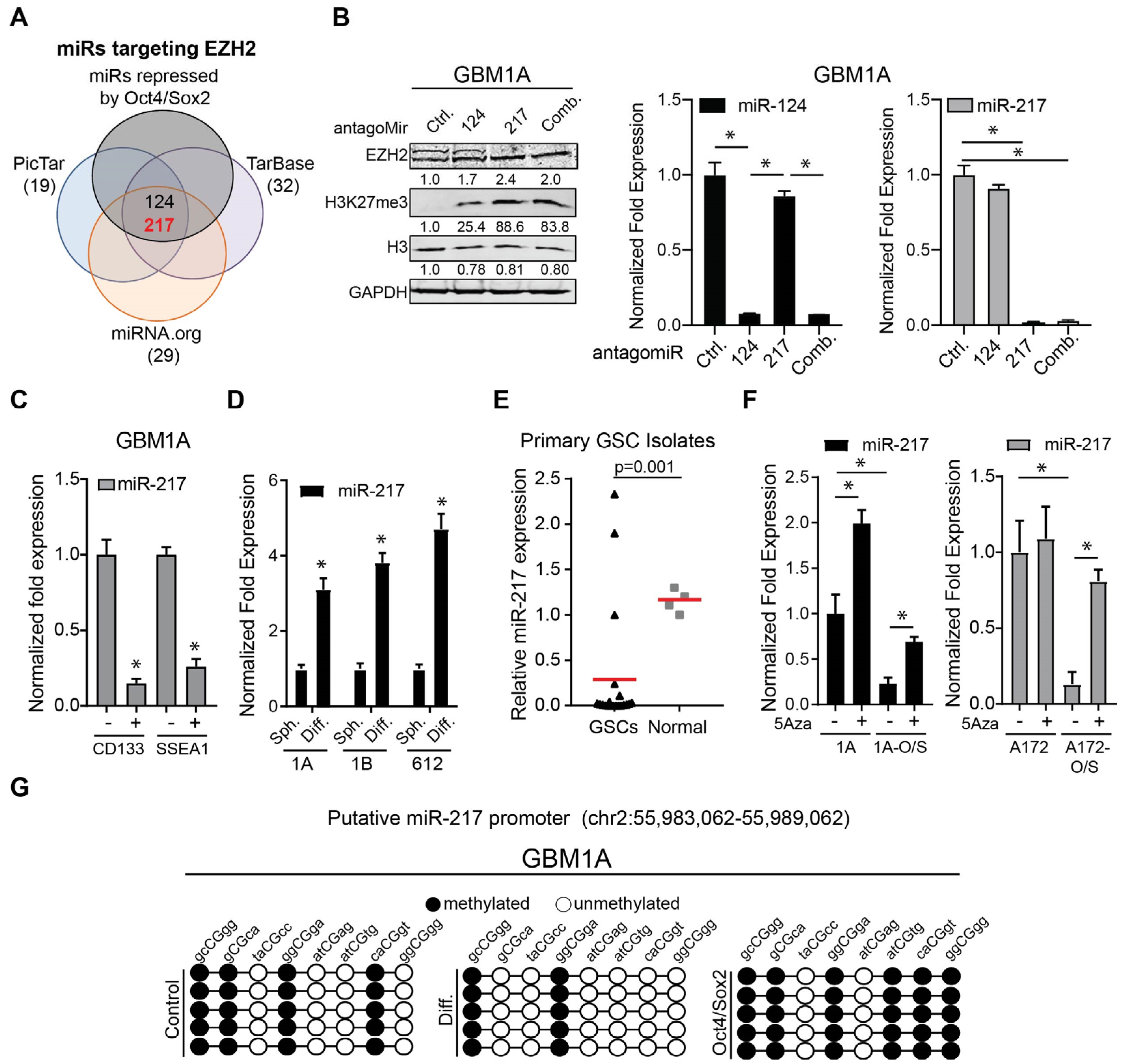 Cancers 17 00080 g003
