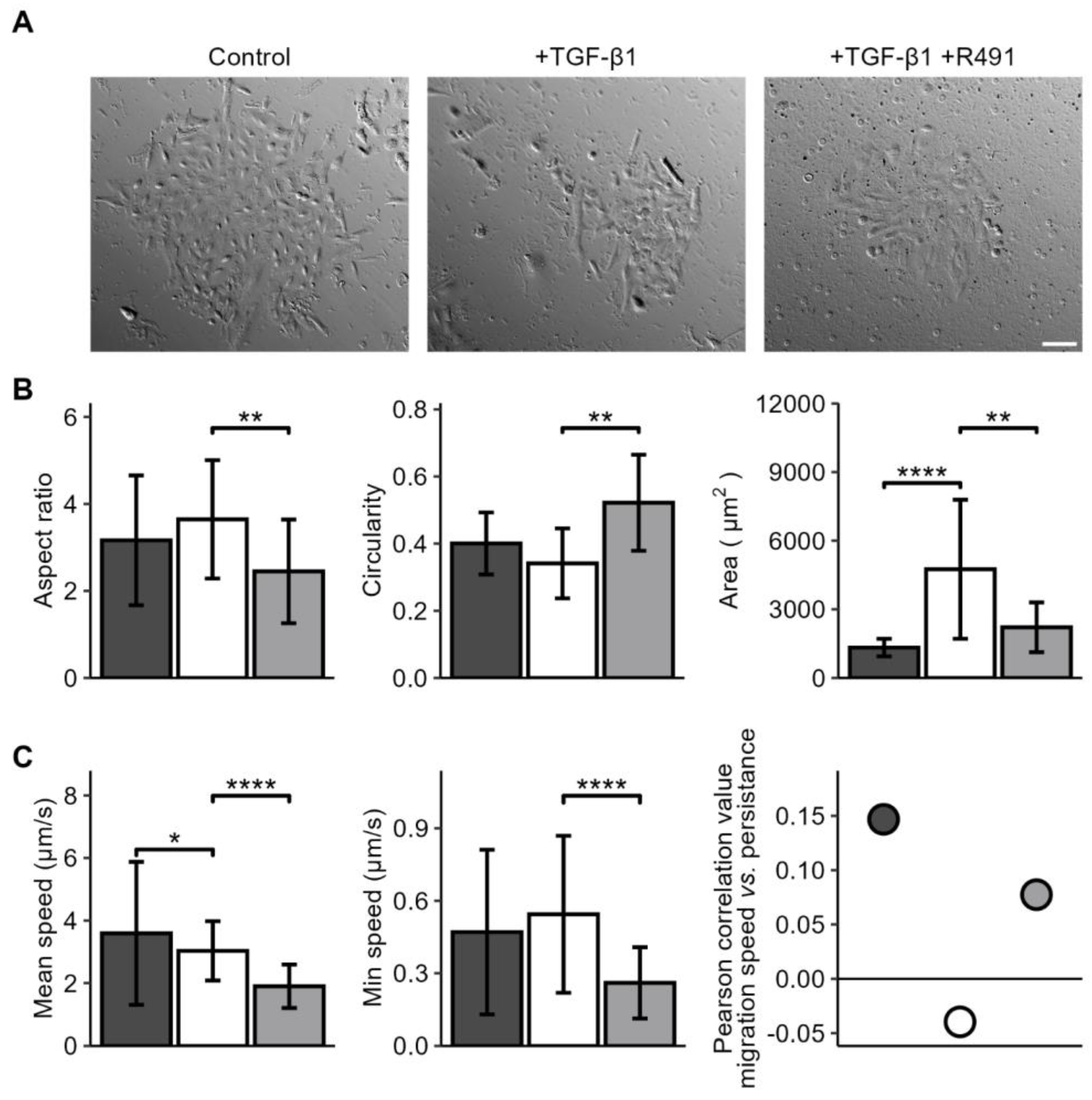 Cancers 17 00081 g002