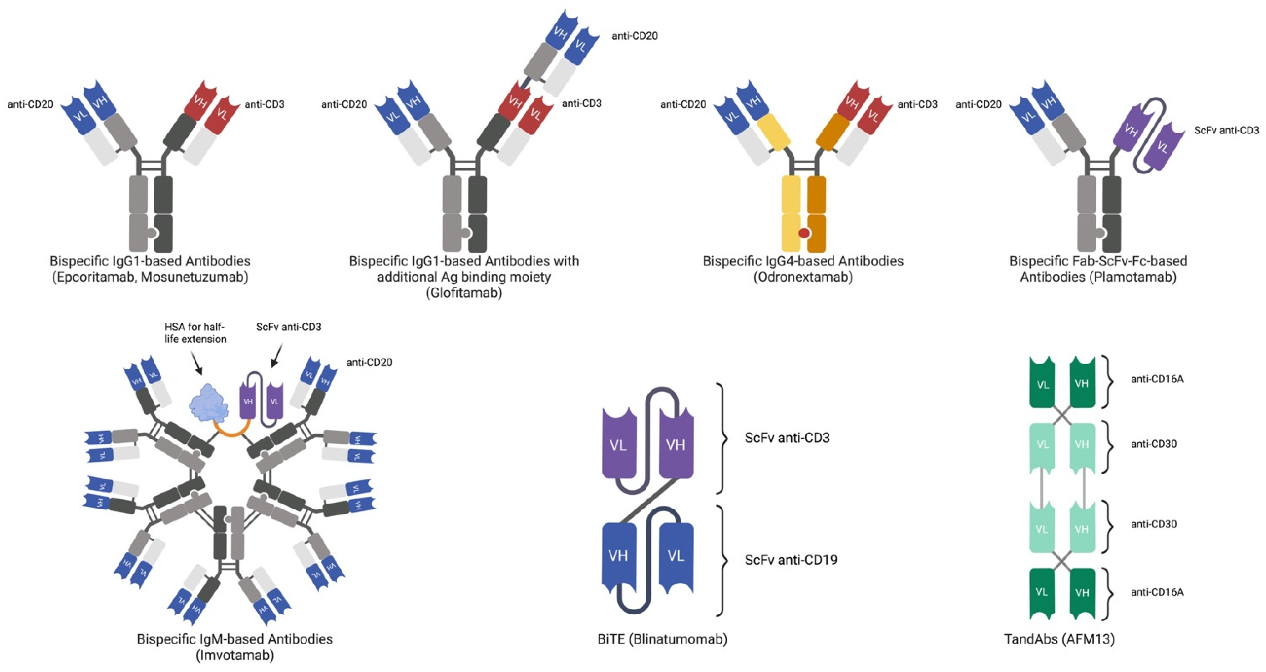 Cancers 17 00094 g001