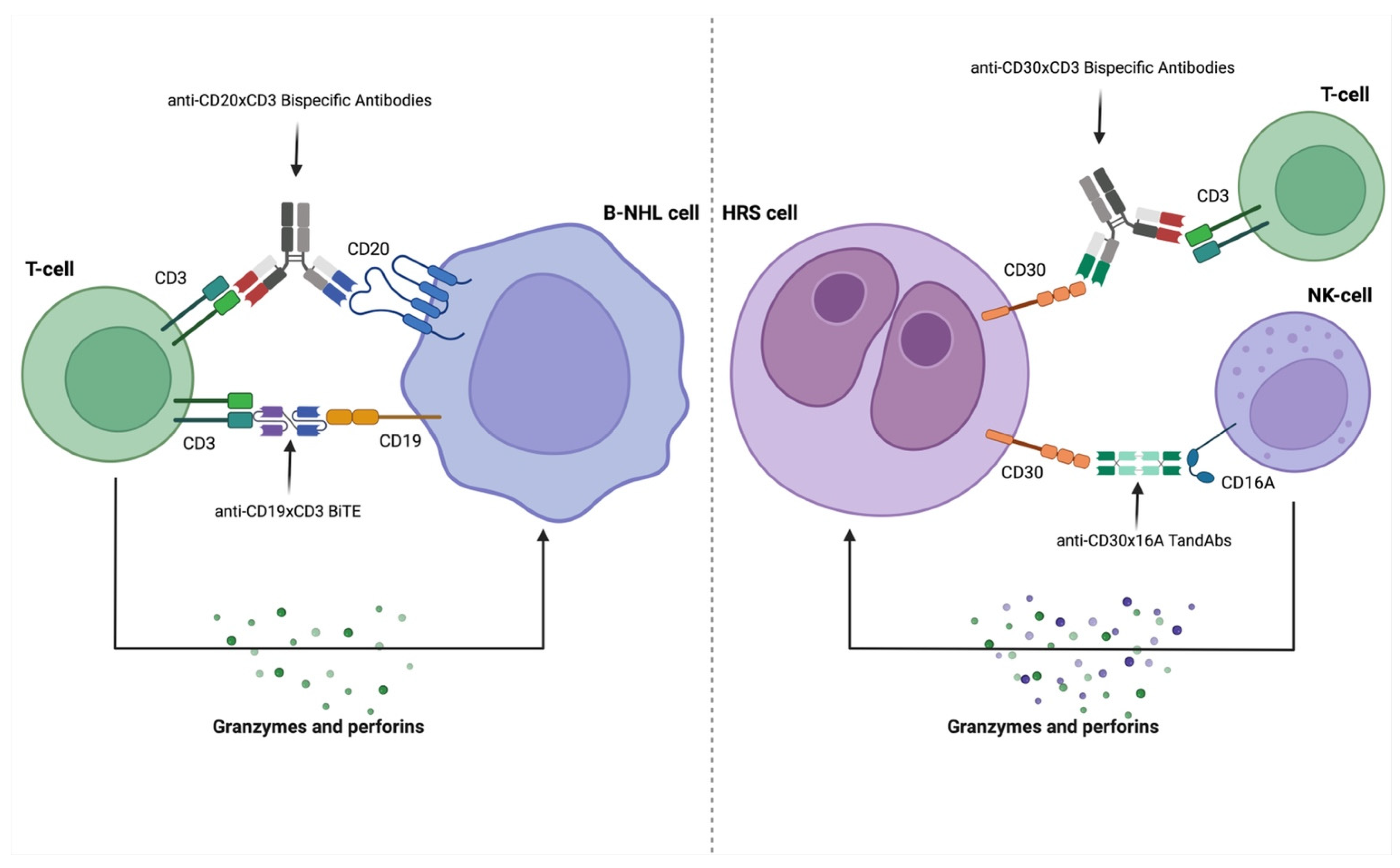 Cancers 17 00094 g002