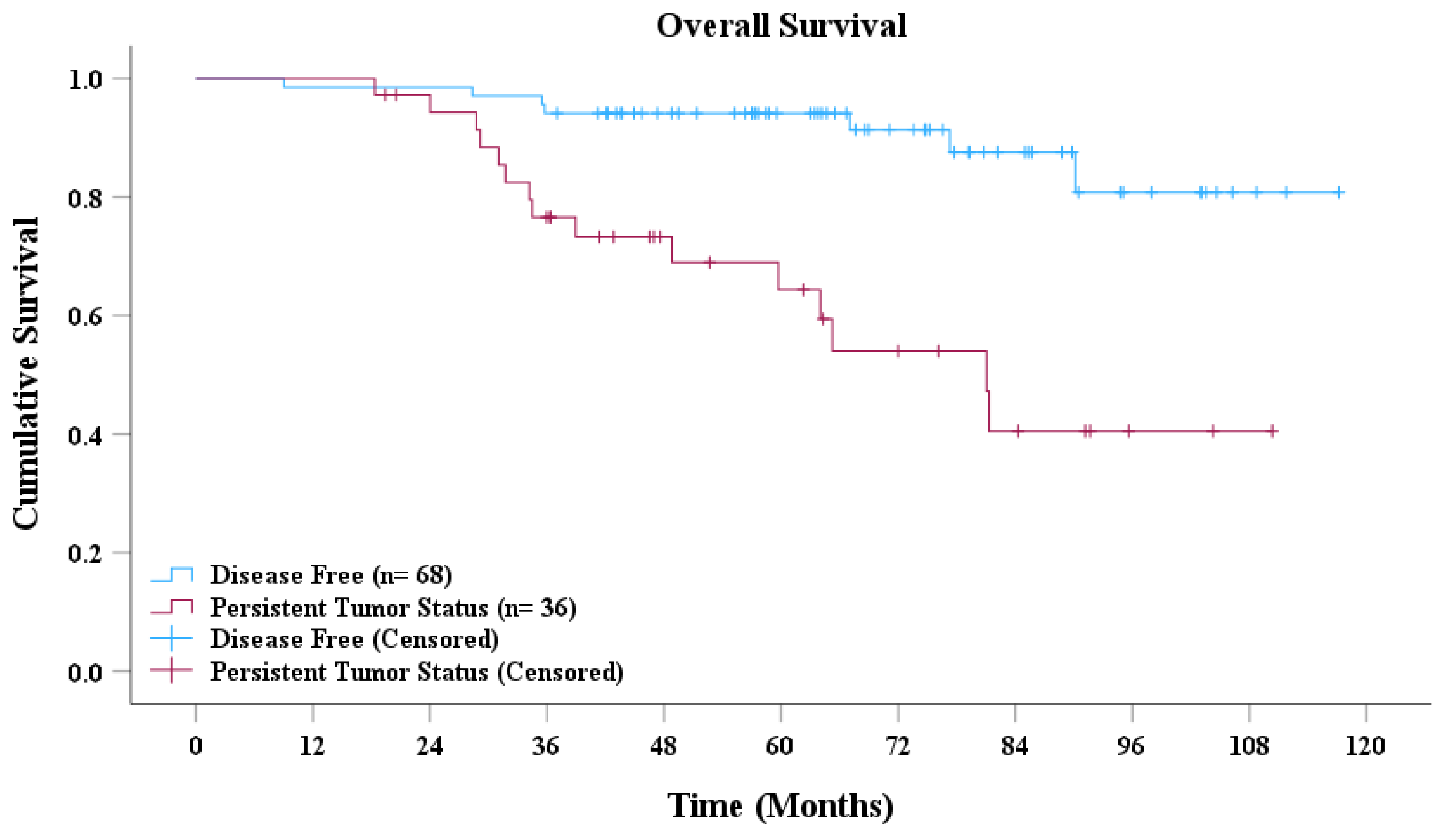 Cancers 17 00096 g004