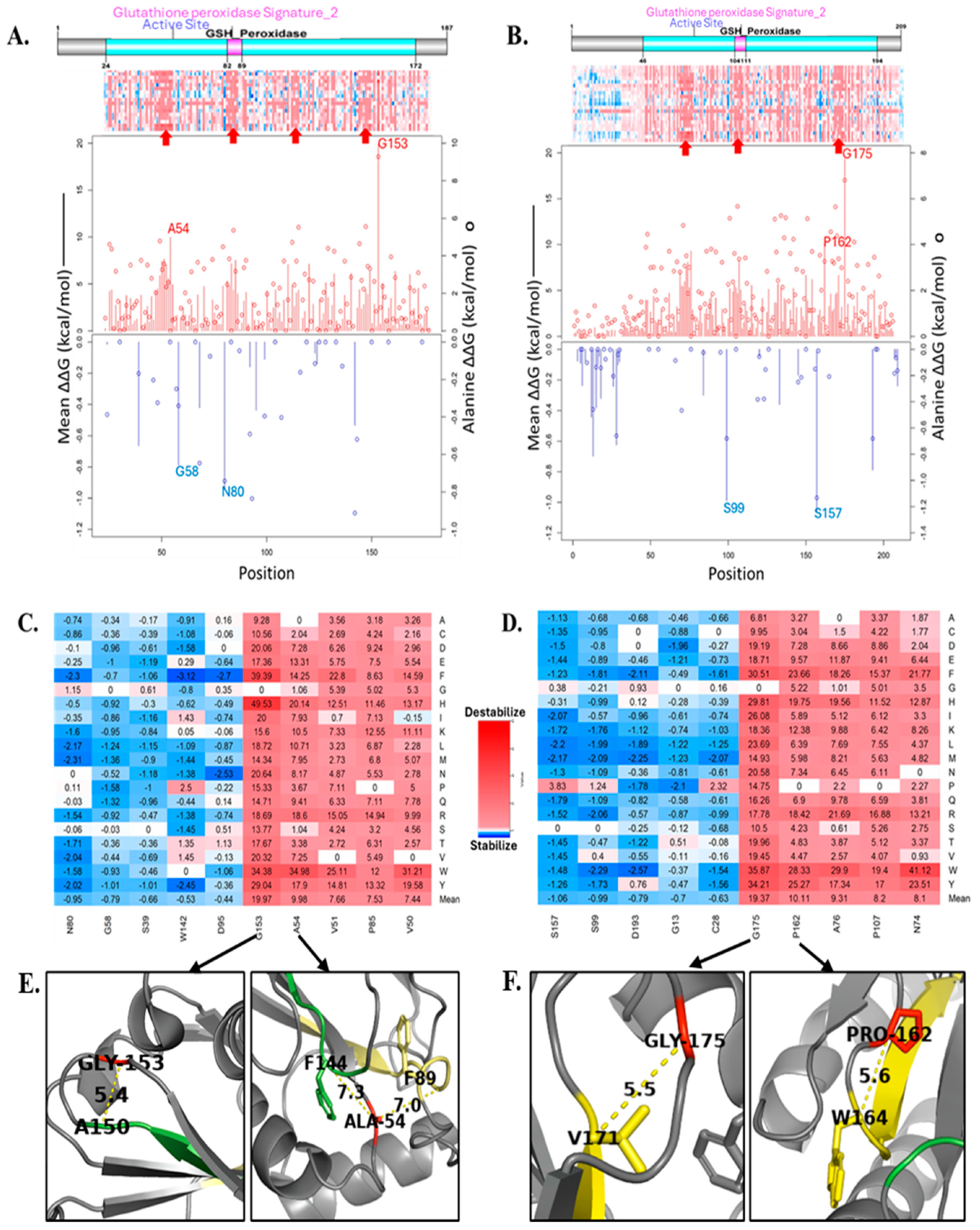 Cancers 17 00105 g003