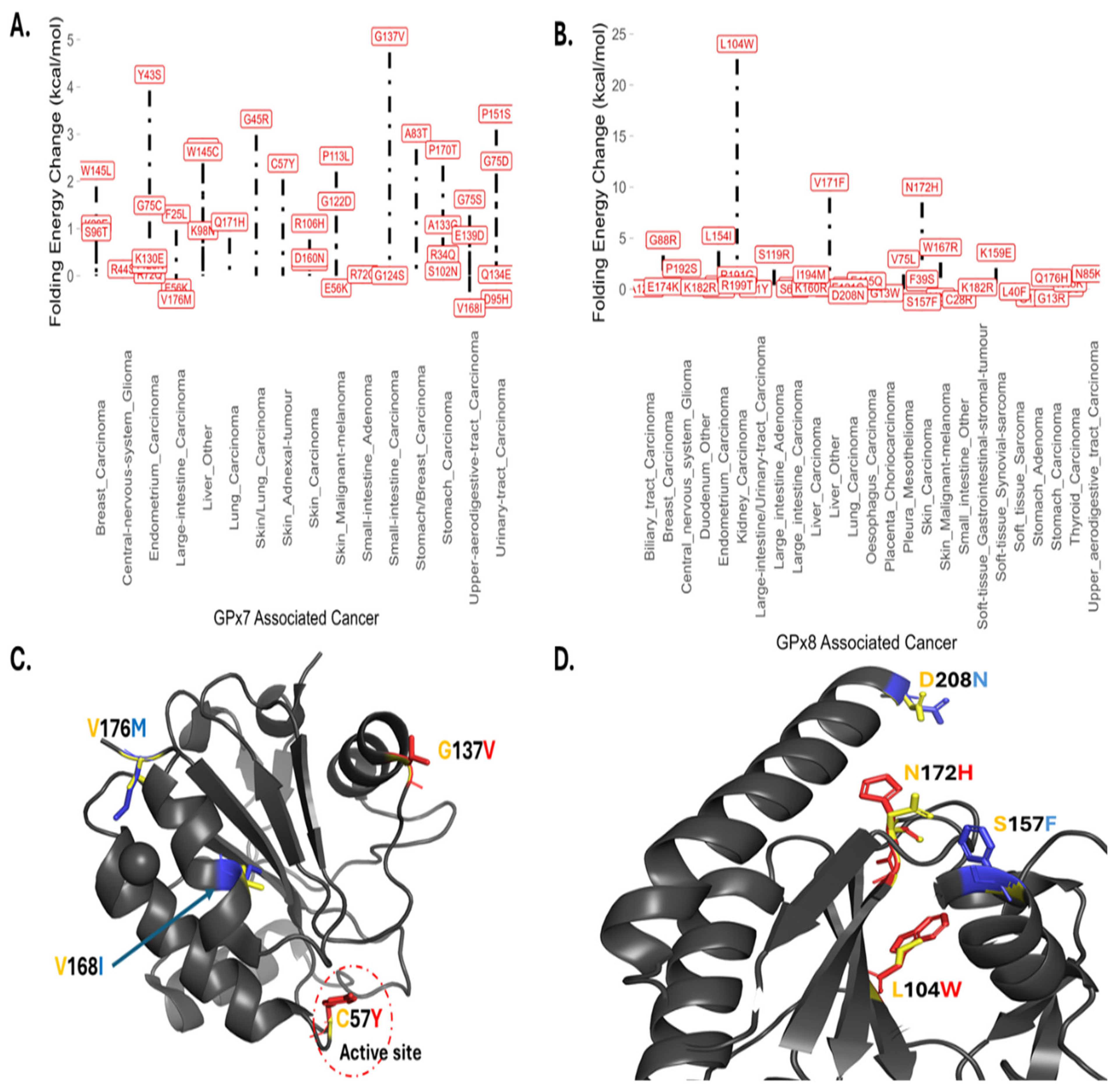Cancers 17 00105 g004