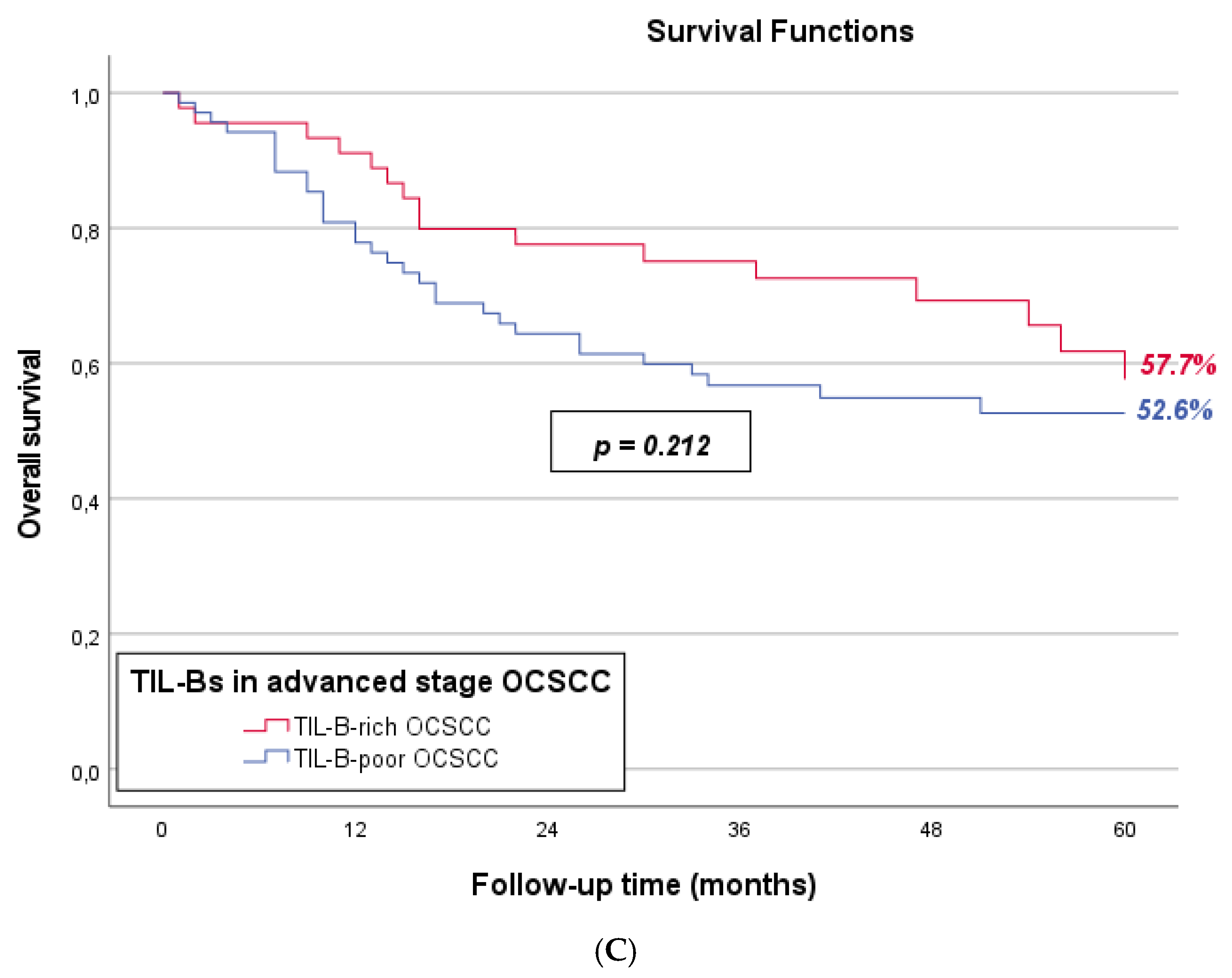 Cancers 17 00113 g002b