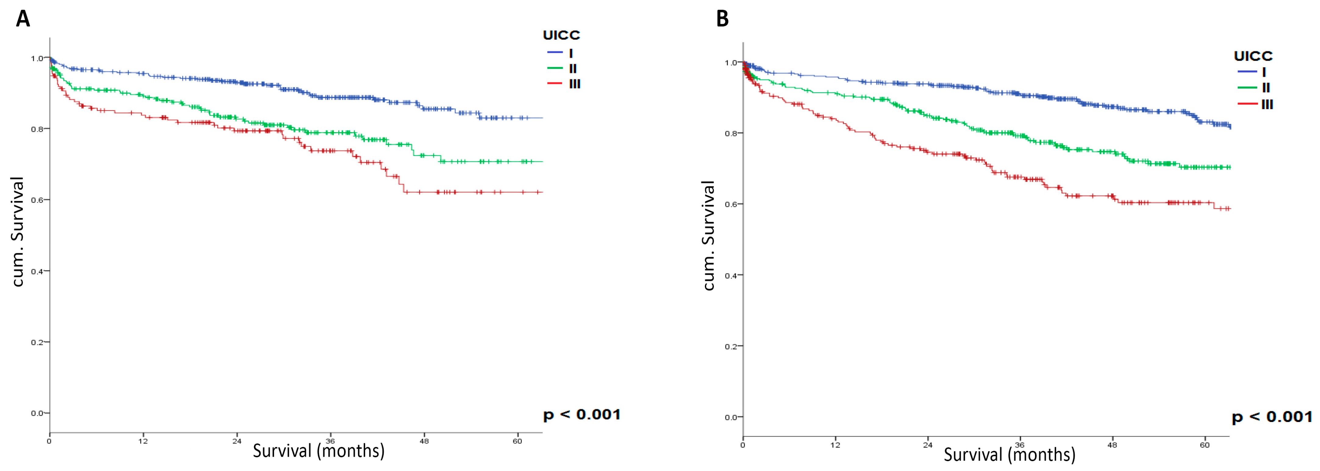 Cancers 17 00120 g002