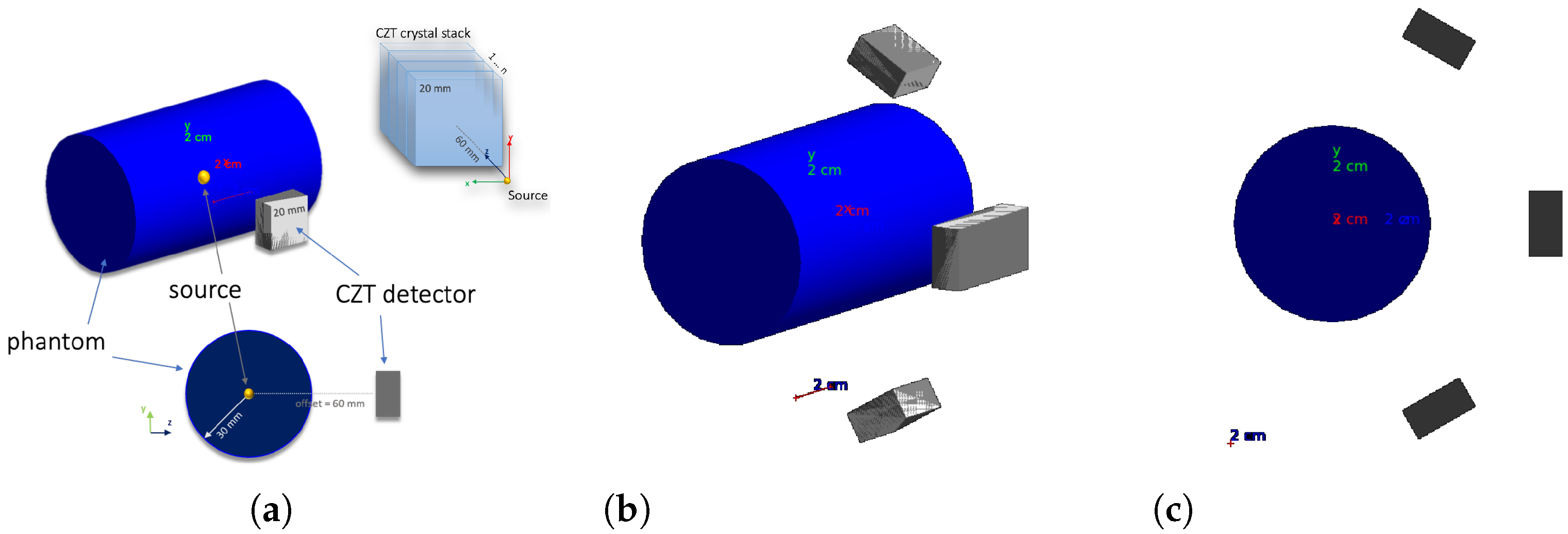 Cancers 17 00130 g006