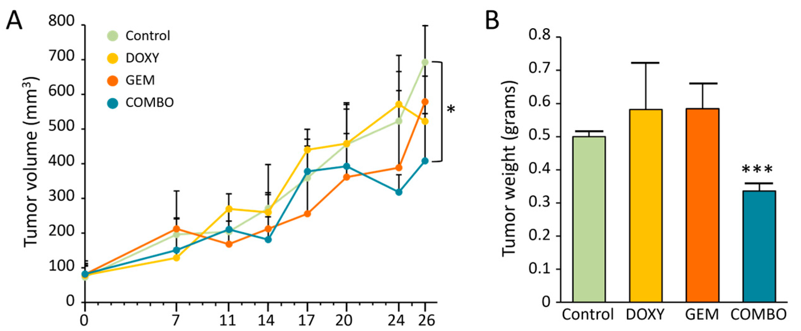 Cancers 17 00132 g004