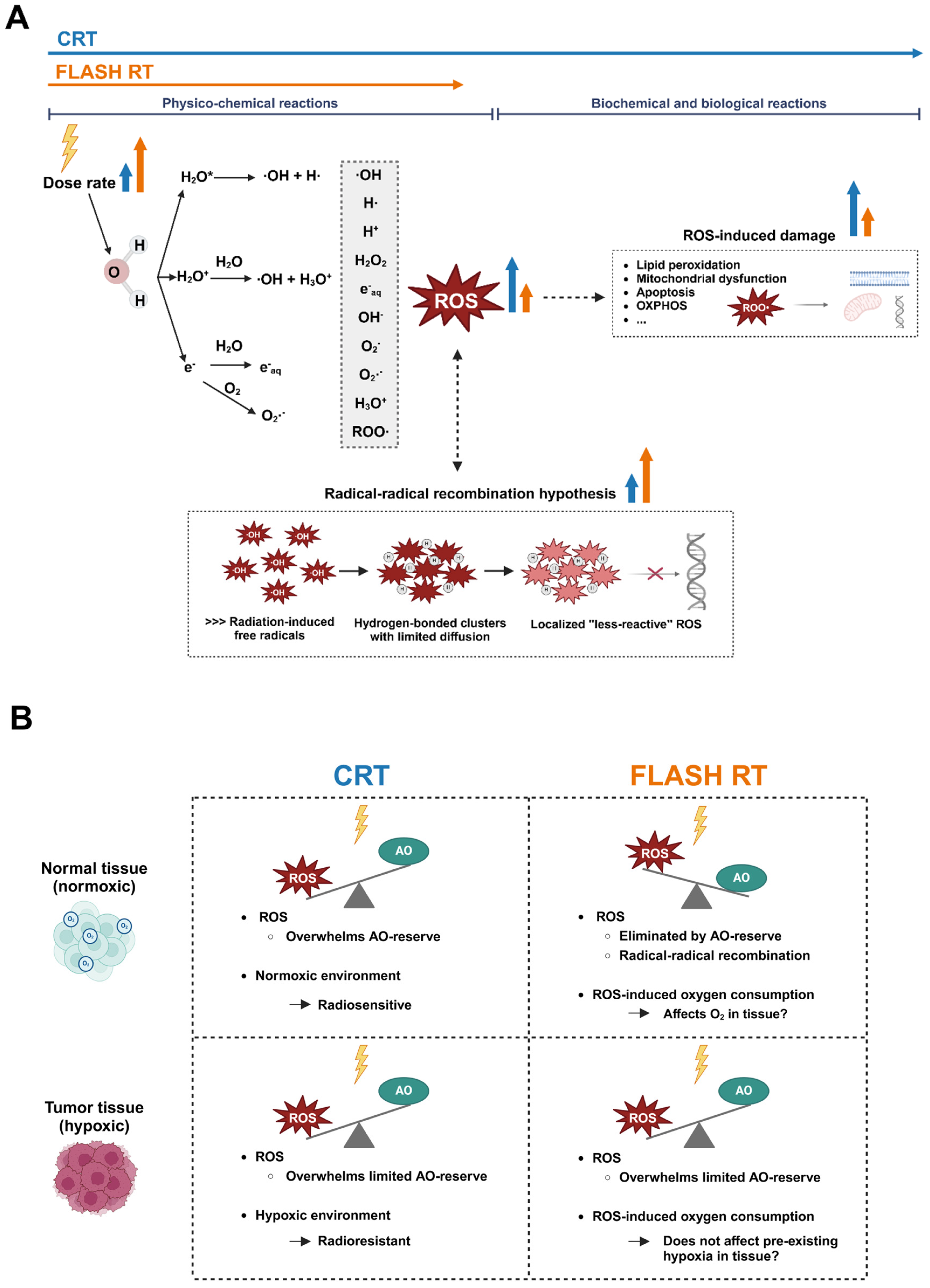 Cancers 17 00133 g002