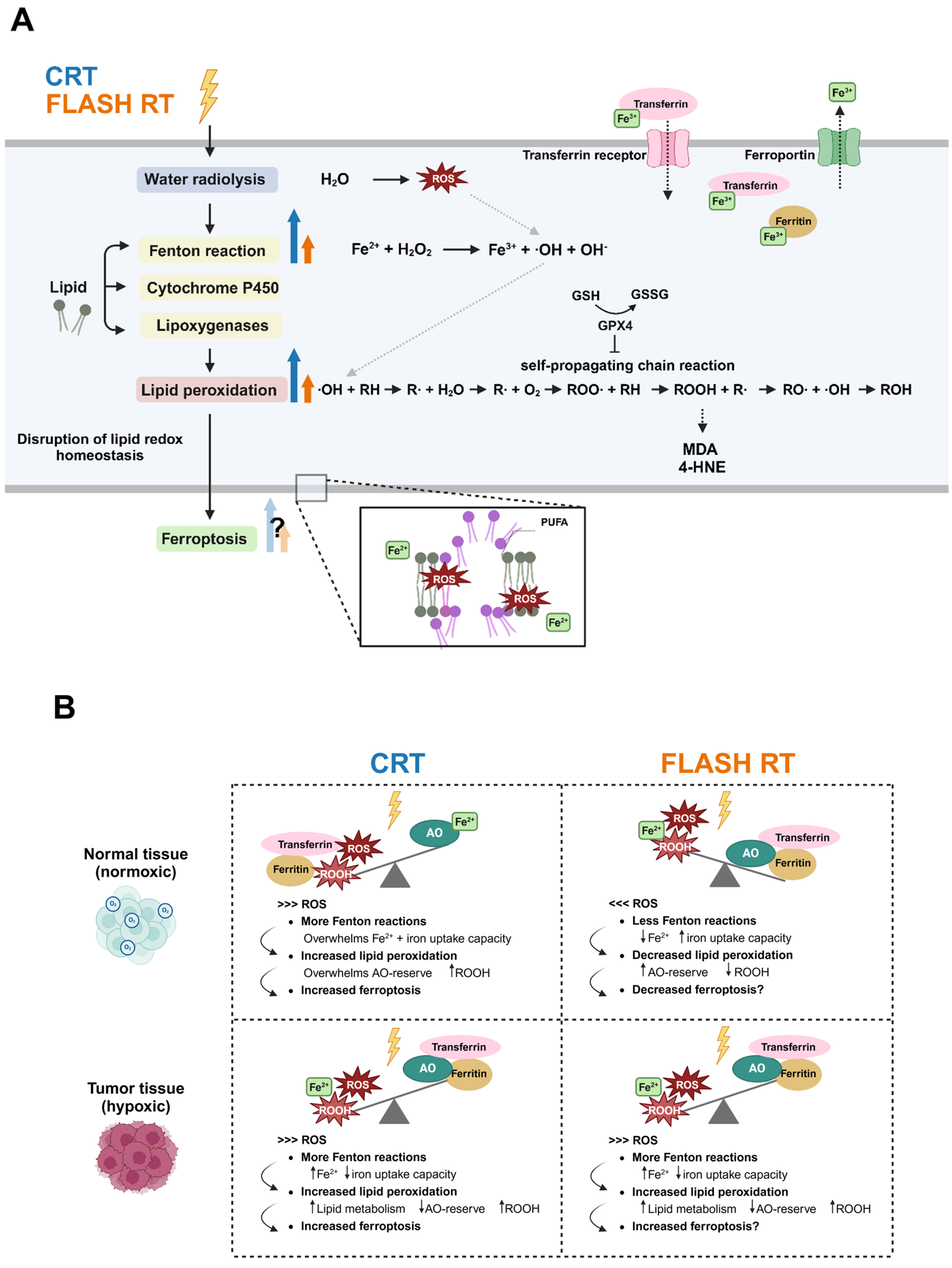 Cancers 17 00133 g003