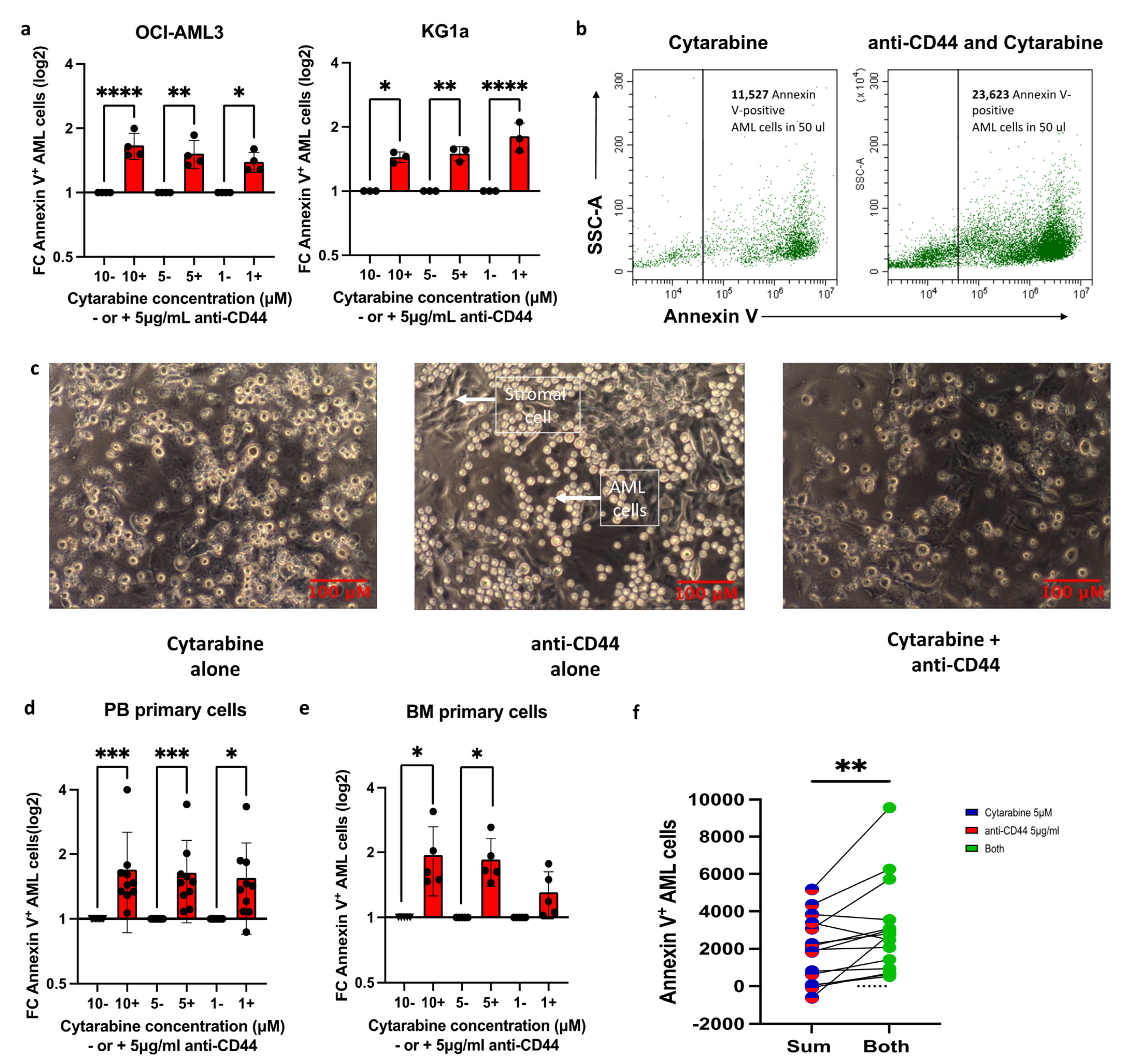 Cancers 17 00135 g004