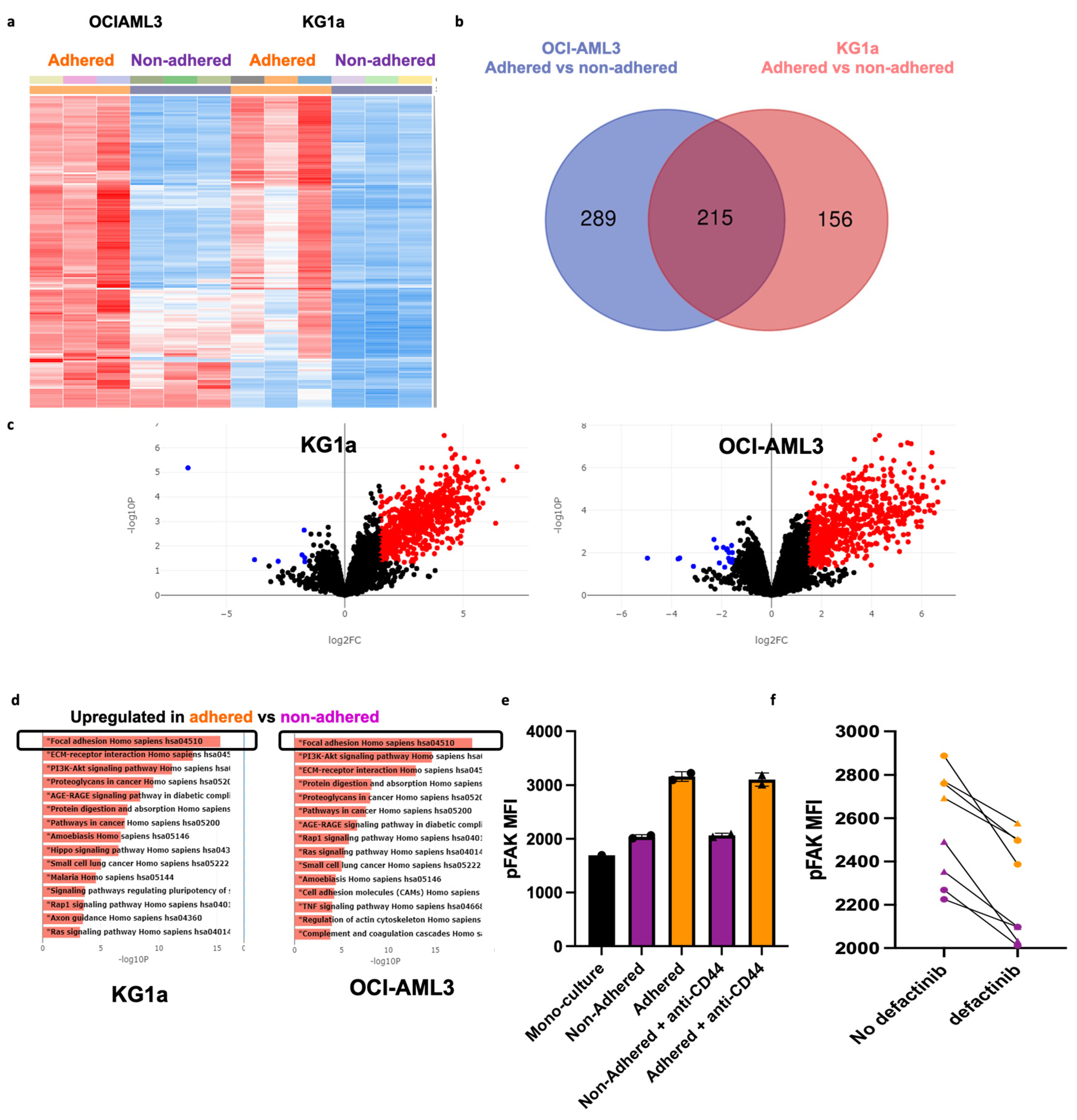 Cancers 17 00135 g005
