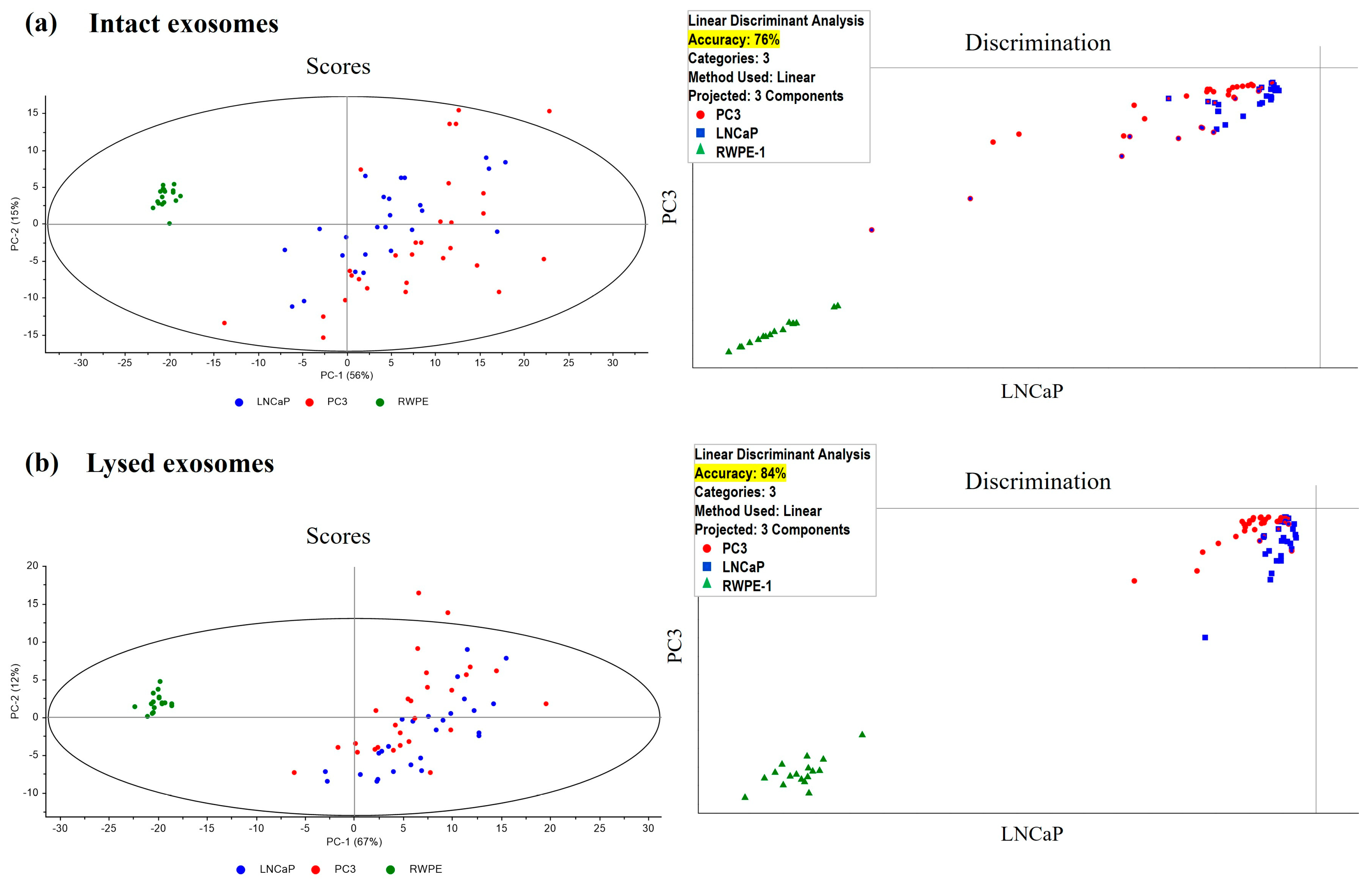 Cancers 17 00141 g004