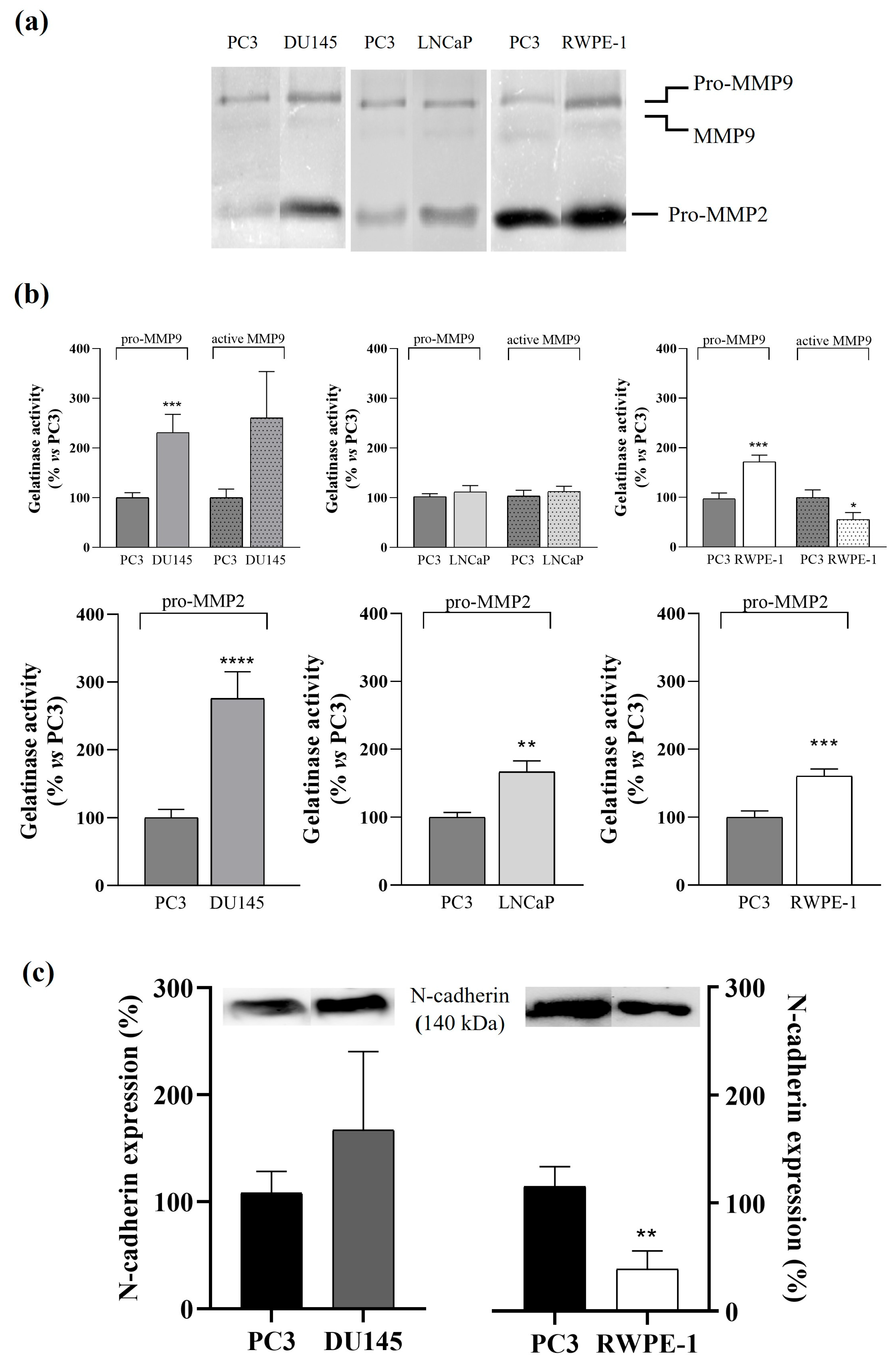 Cancers 17 00141 g006