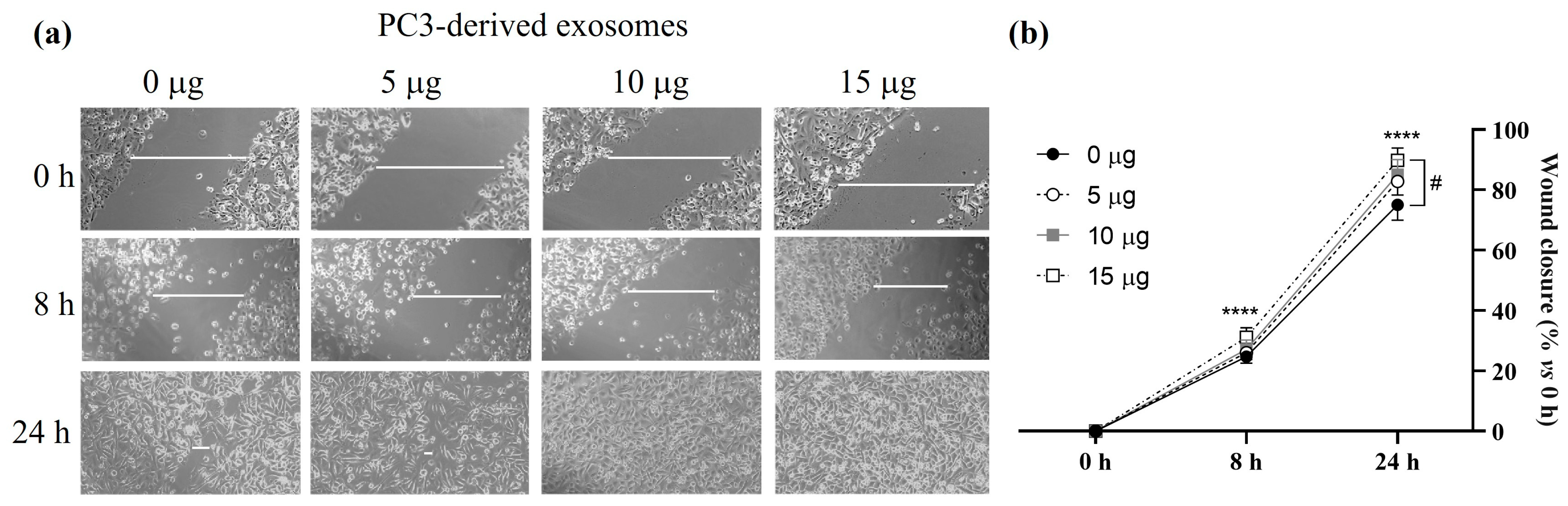 Cancers 17 00141 g008