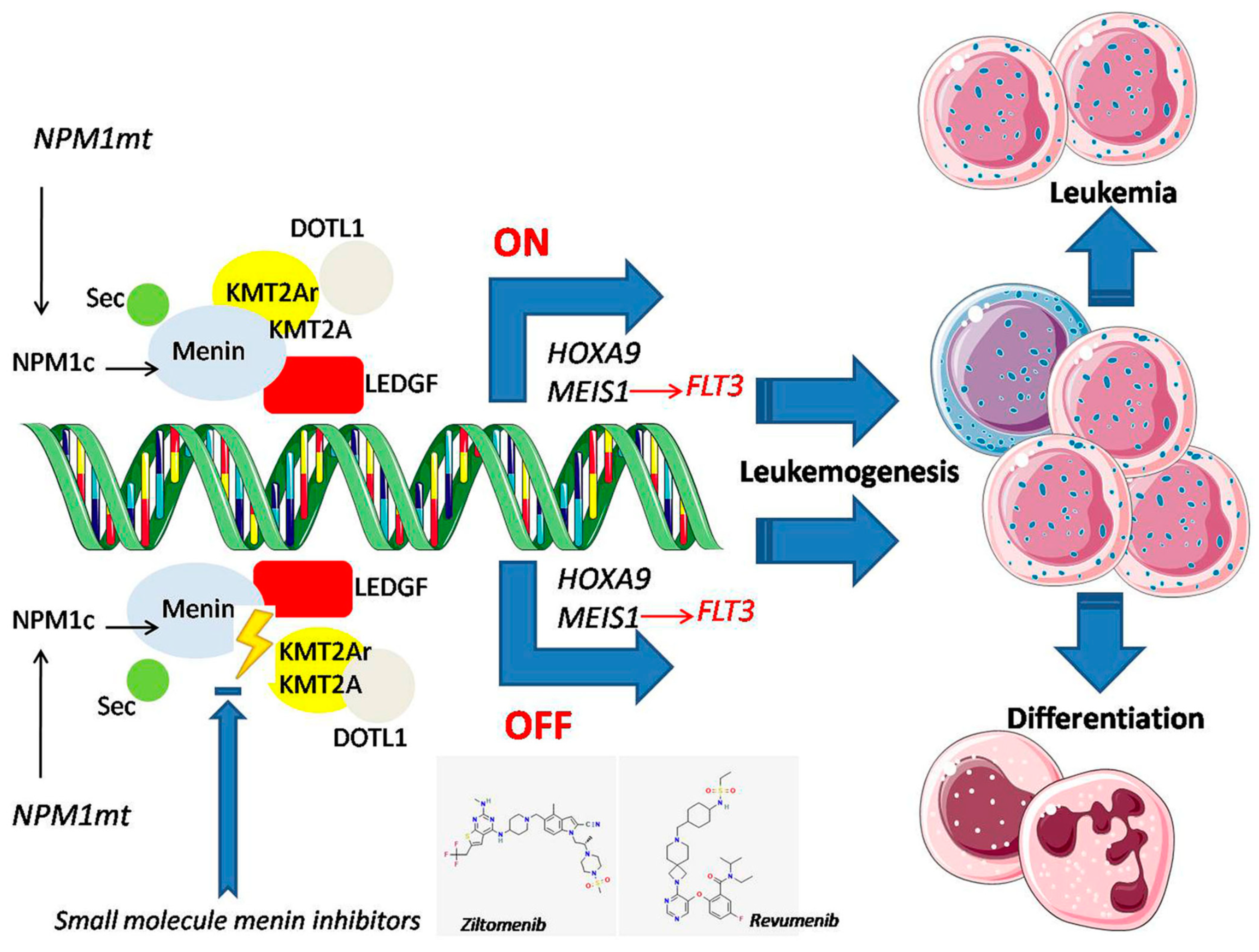Cancers 17 00142 g001