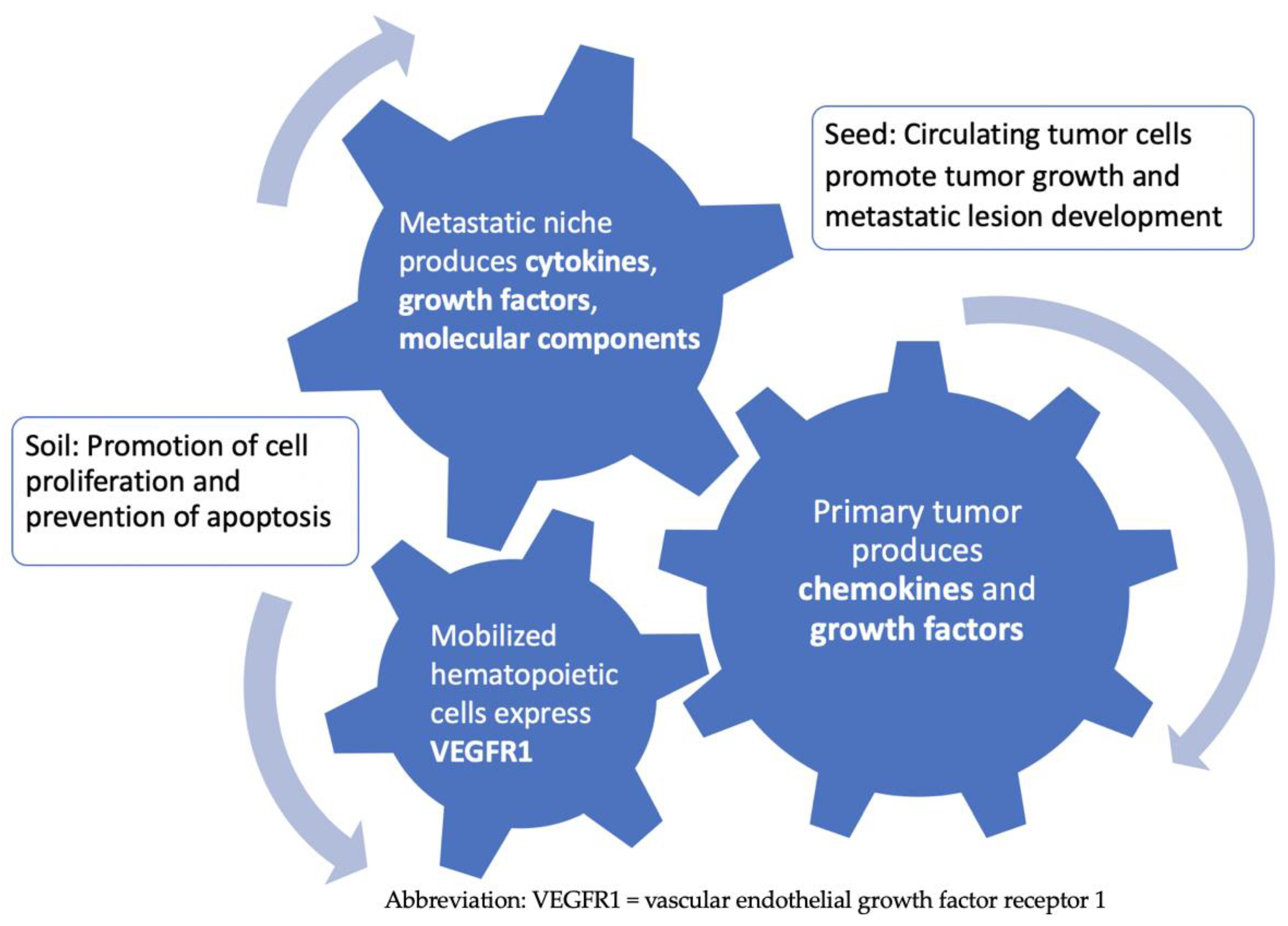 Cancers 17 00147 g001 Cancers 17 00147 g001