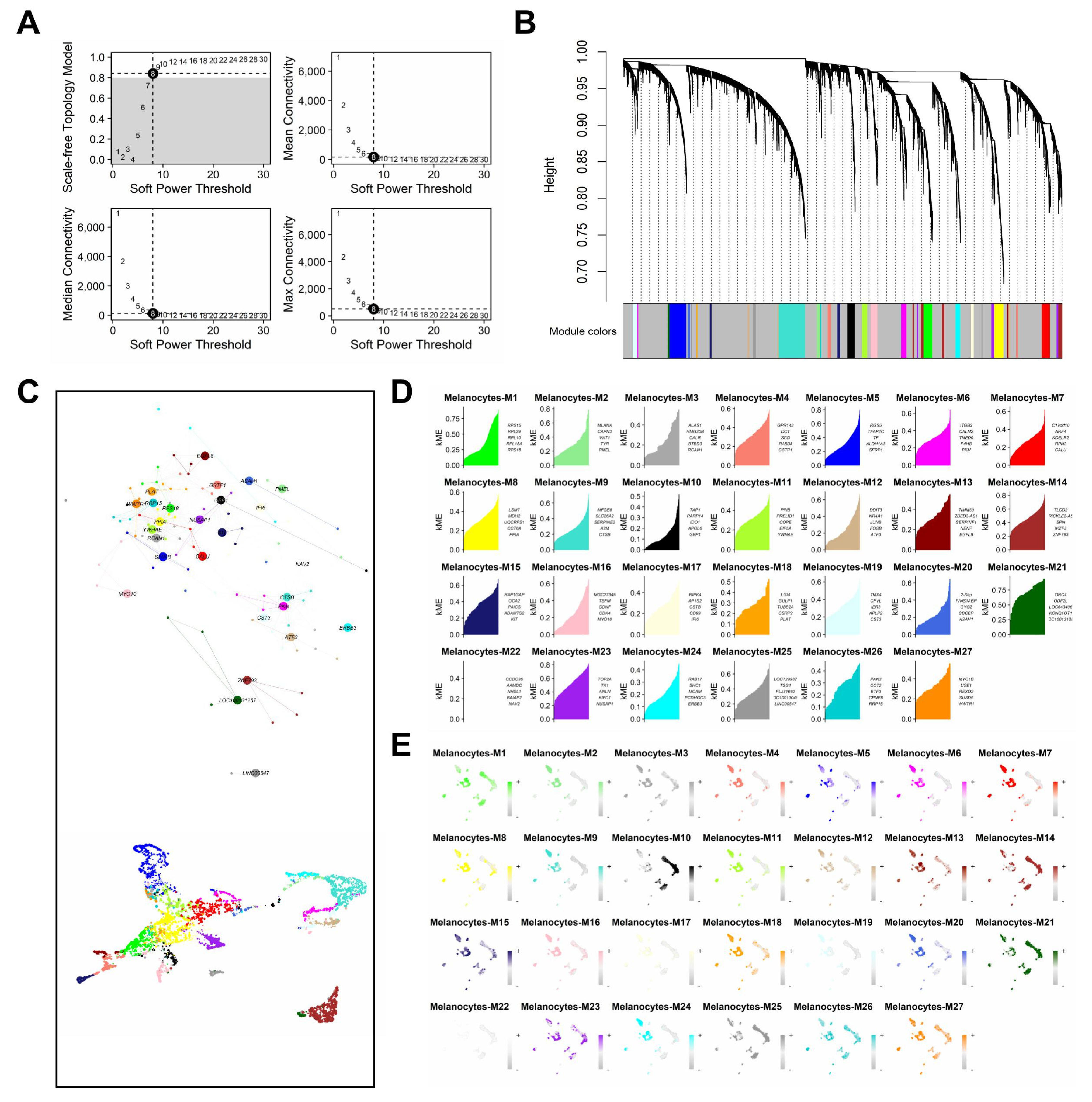 Cancers 17 00148 g002 Cancers 17 00148 g002