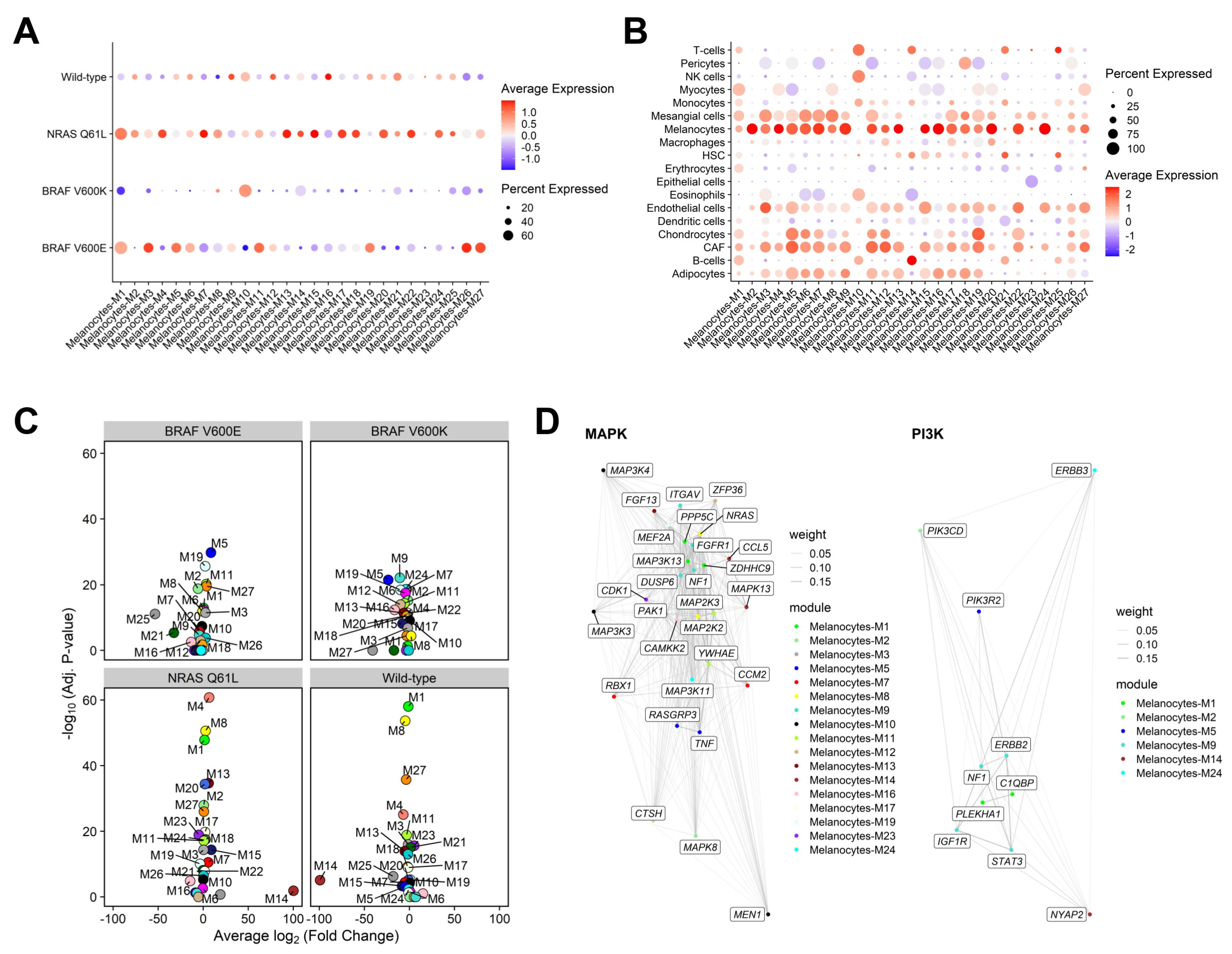 Cancers 17 00148 g003 Cancers 17 00148 g003