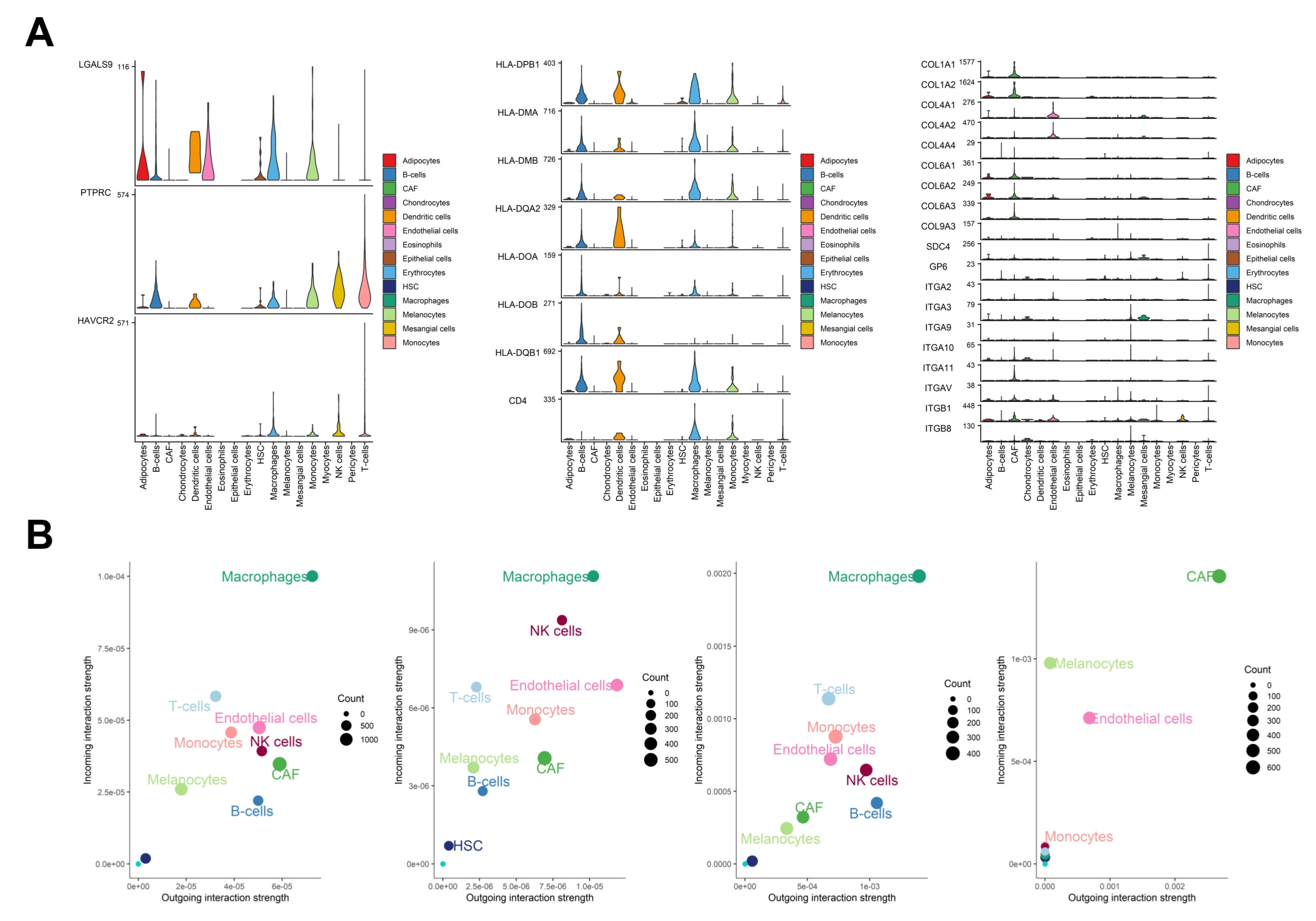 Cancers 17 00148 g005 Cancers 17 00148 g005