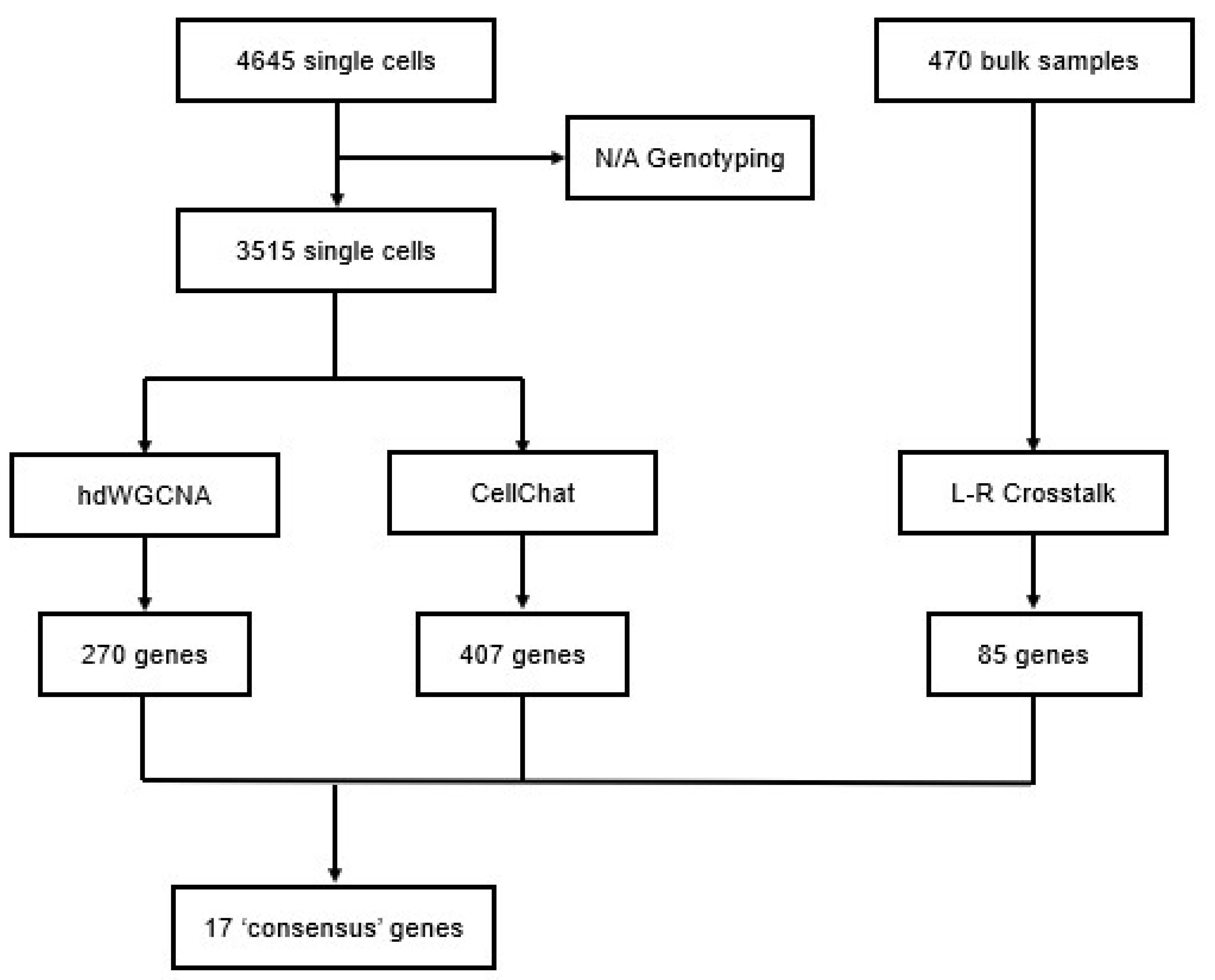 Cancers 17 00148 g006 Cancers 17 00148 g006