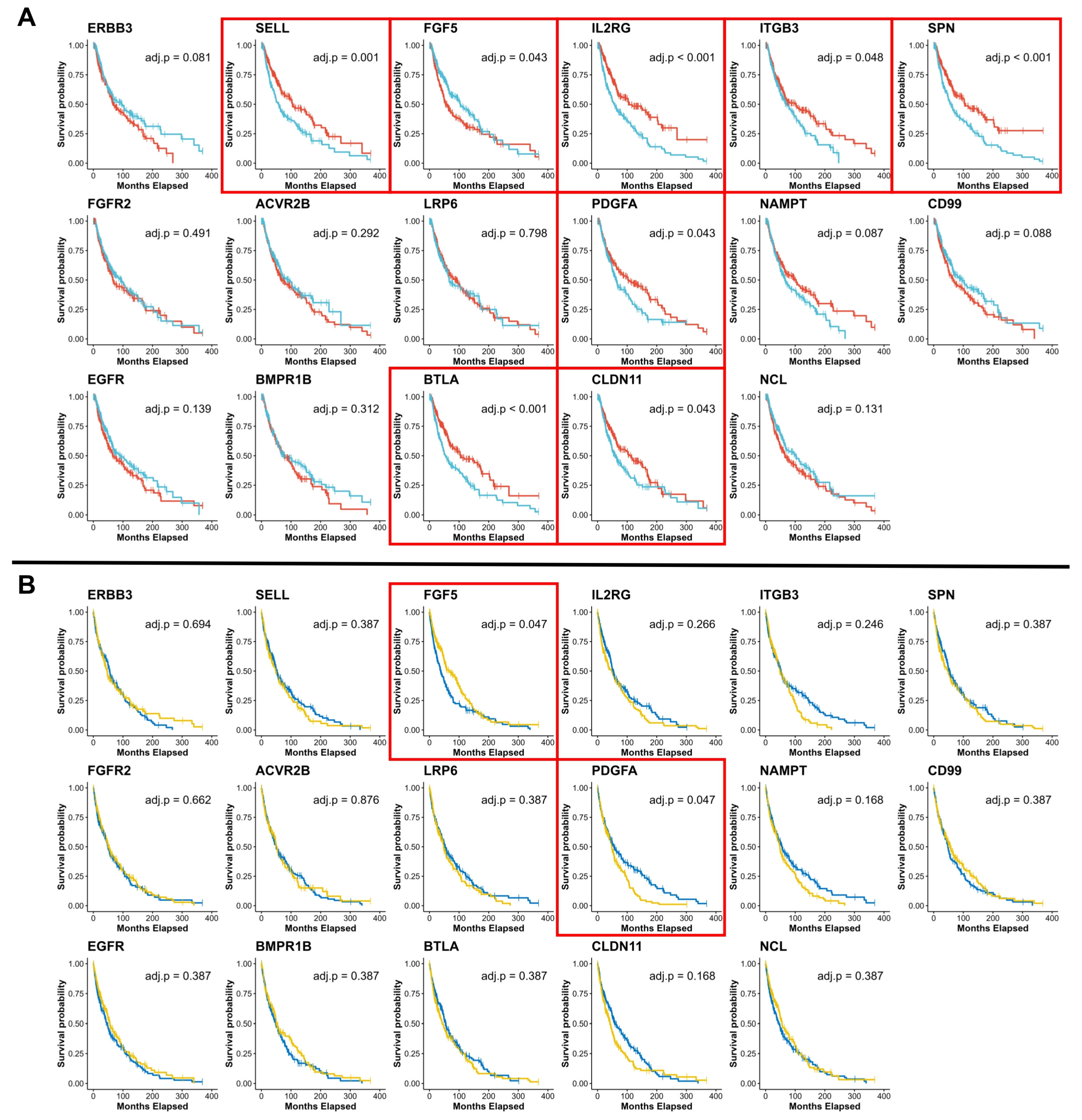 Cancers 17 00148 g007 Cancers 17 00148 g007